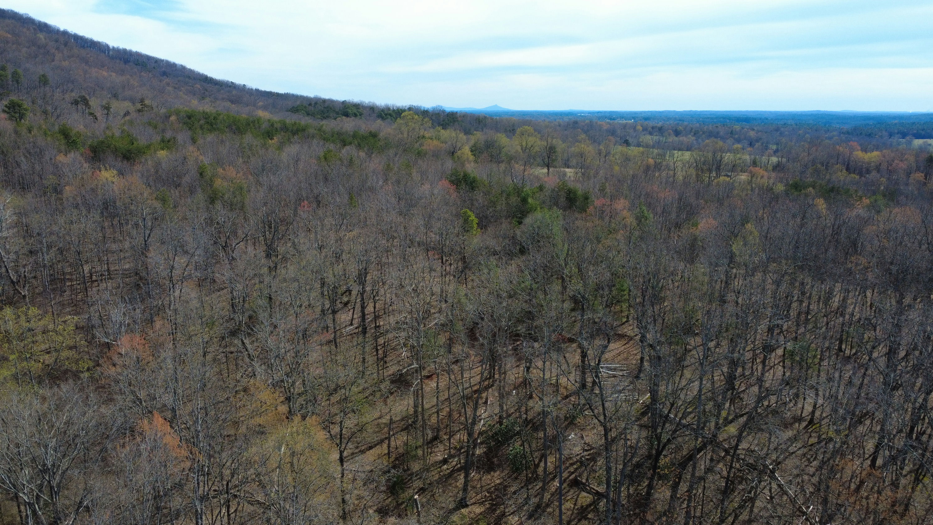 DJI_0159.JPG