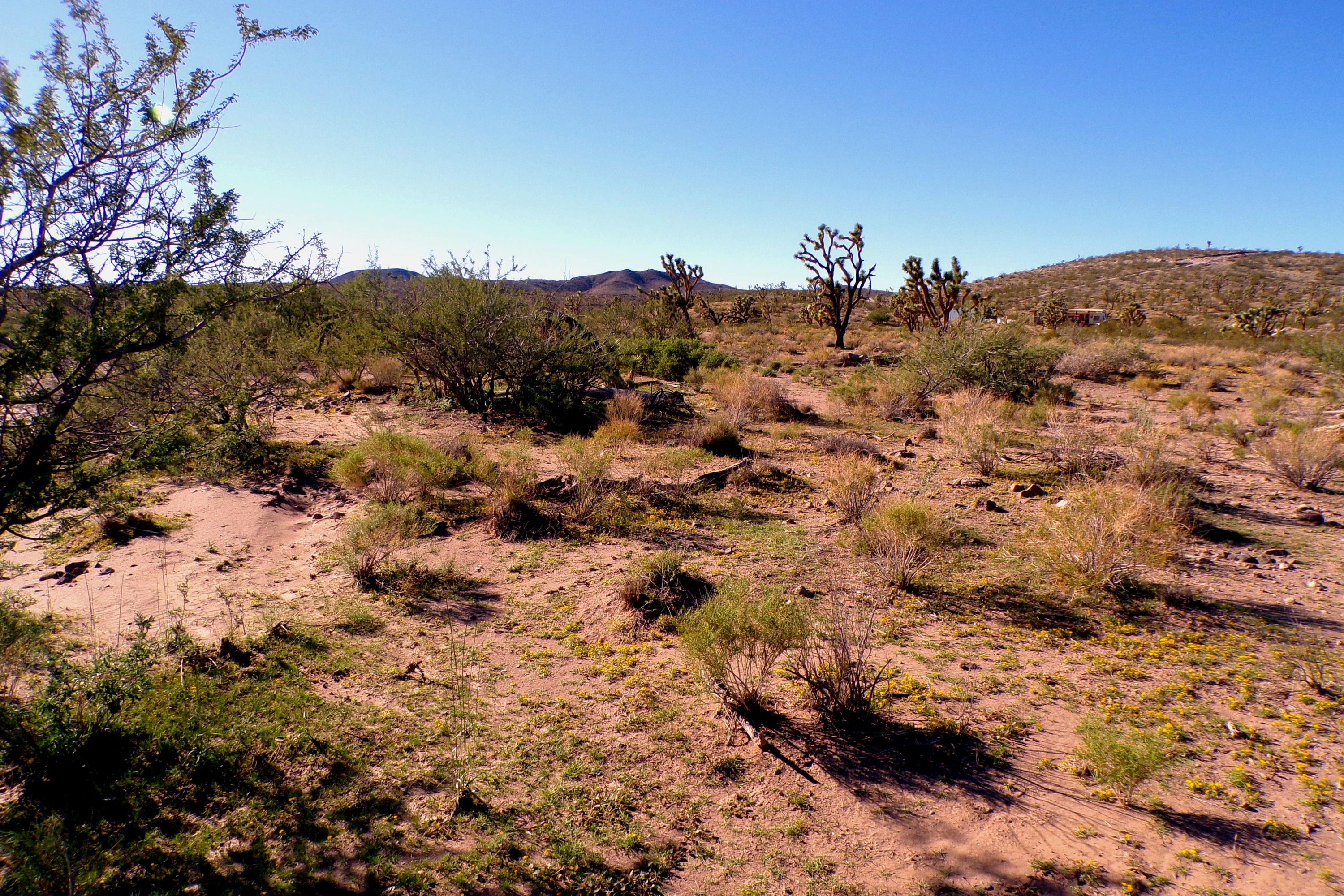 100_2843_DESERT.JPG