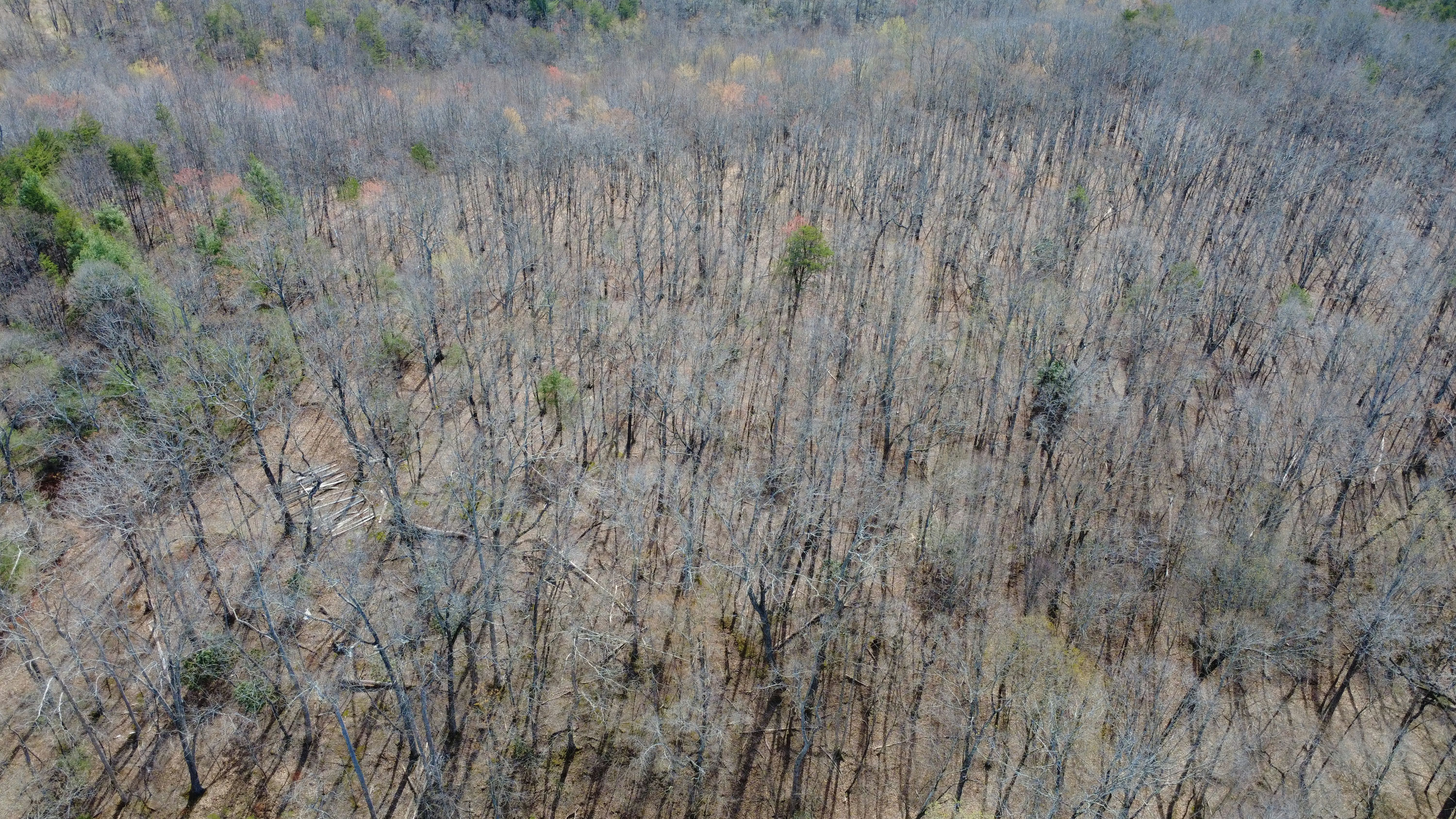 DJI_0181.JPG