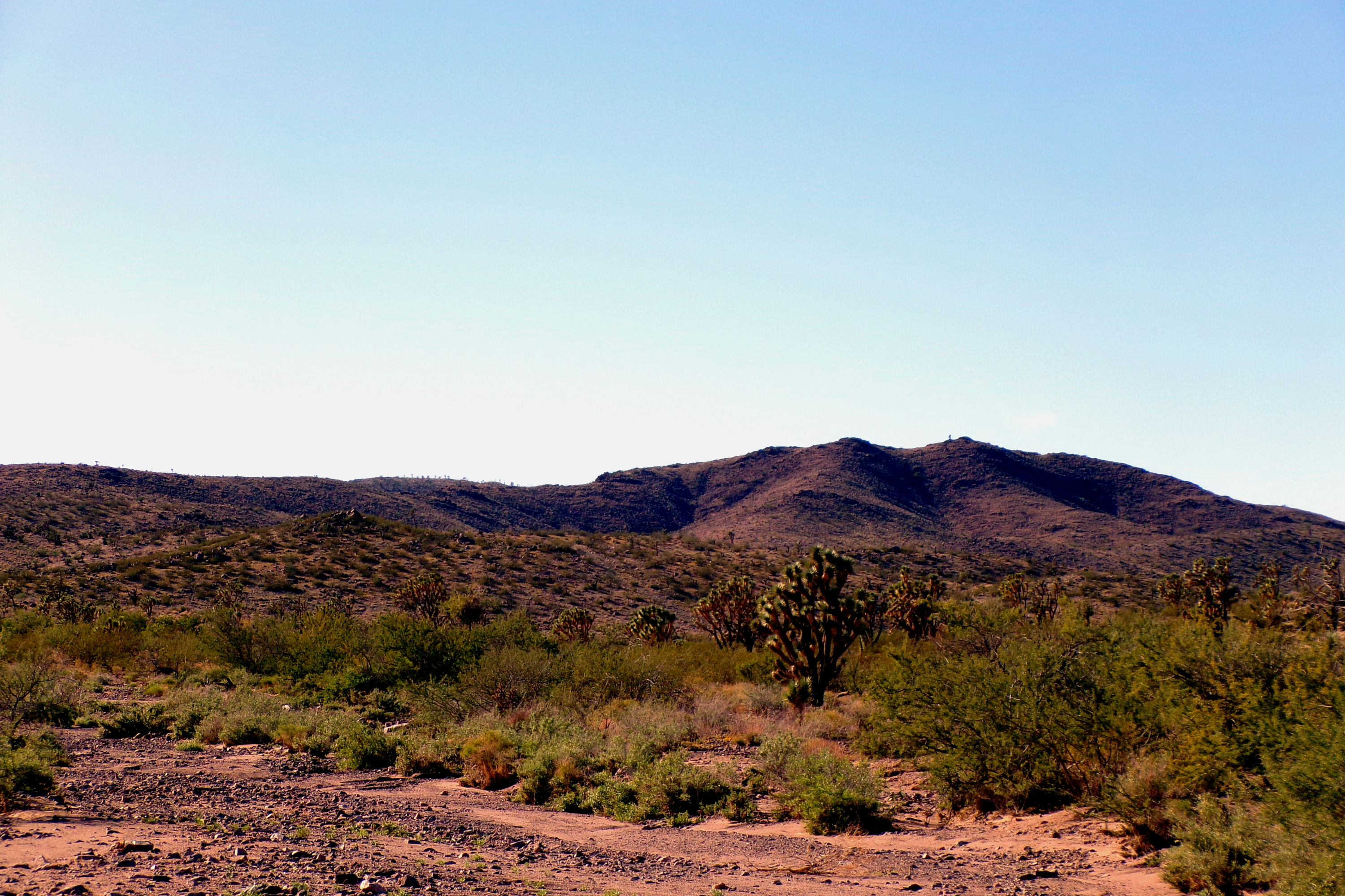 100_2846_DESERT.JPG