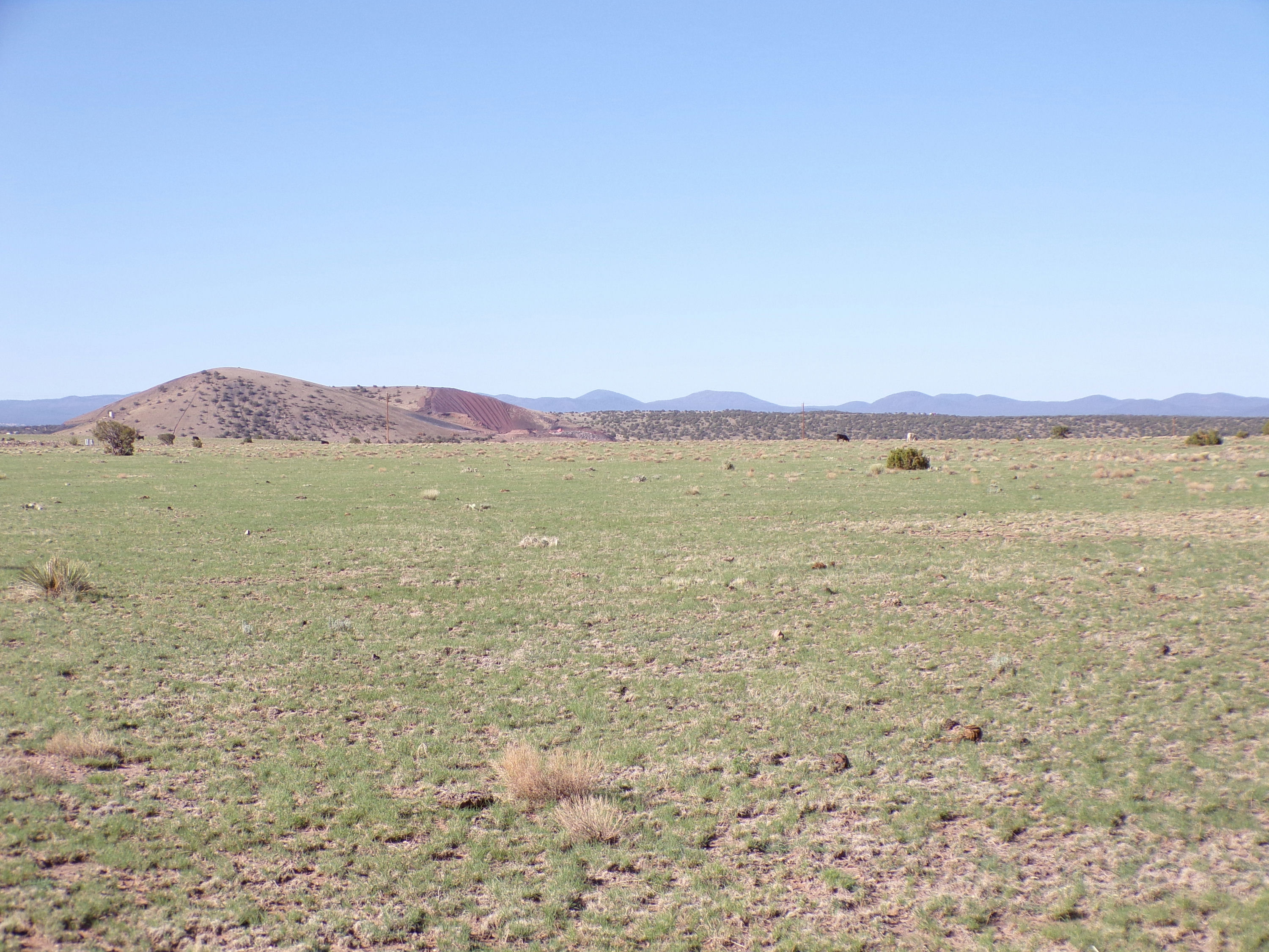 Copy of 100_0335.JPG