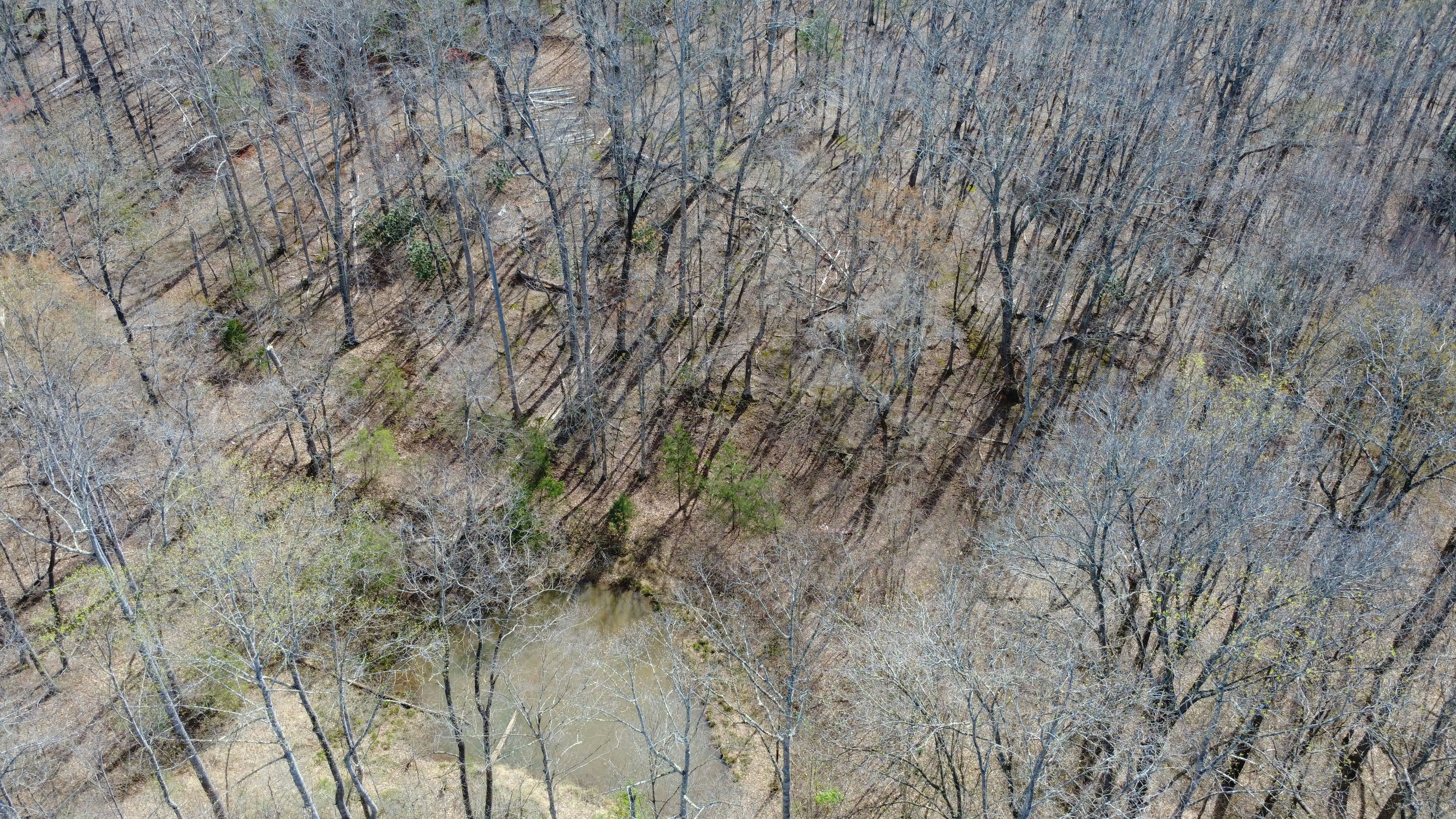 DJI_0156.JPG