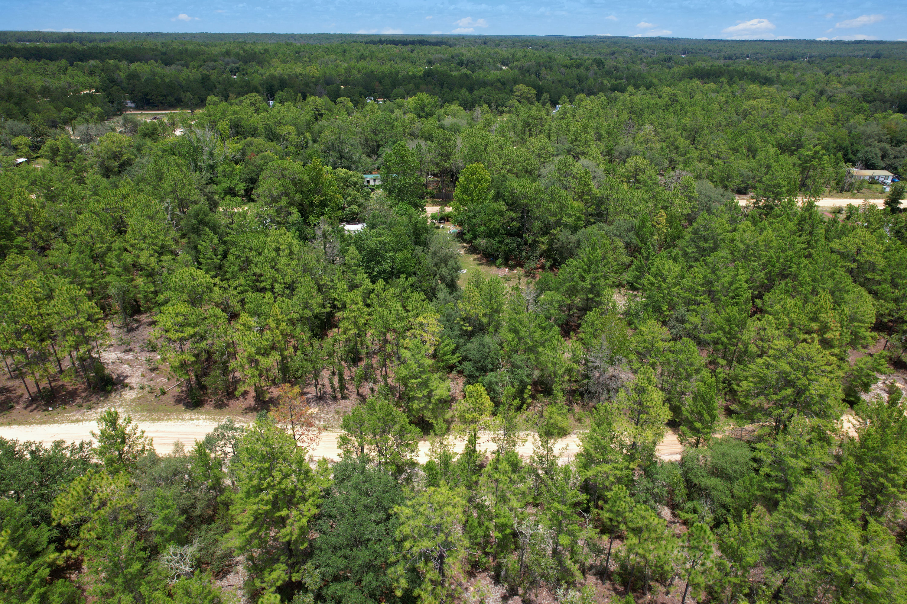 DJI_0665 (1).jpg
