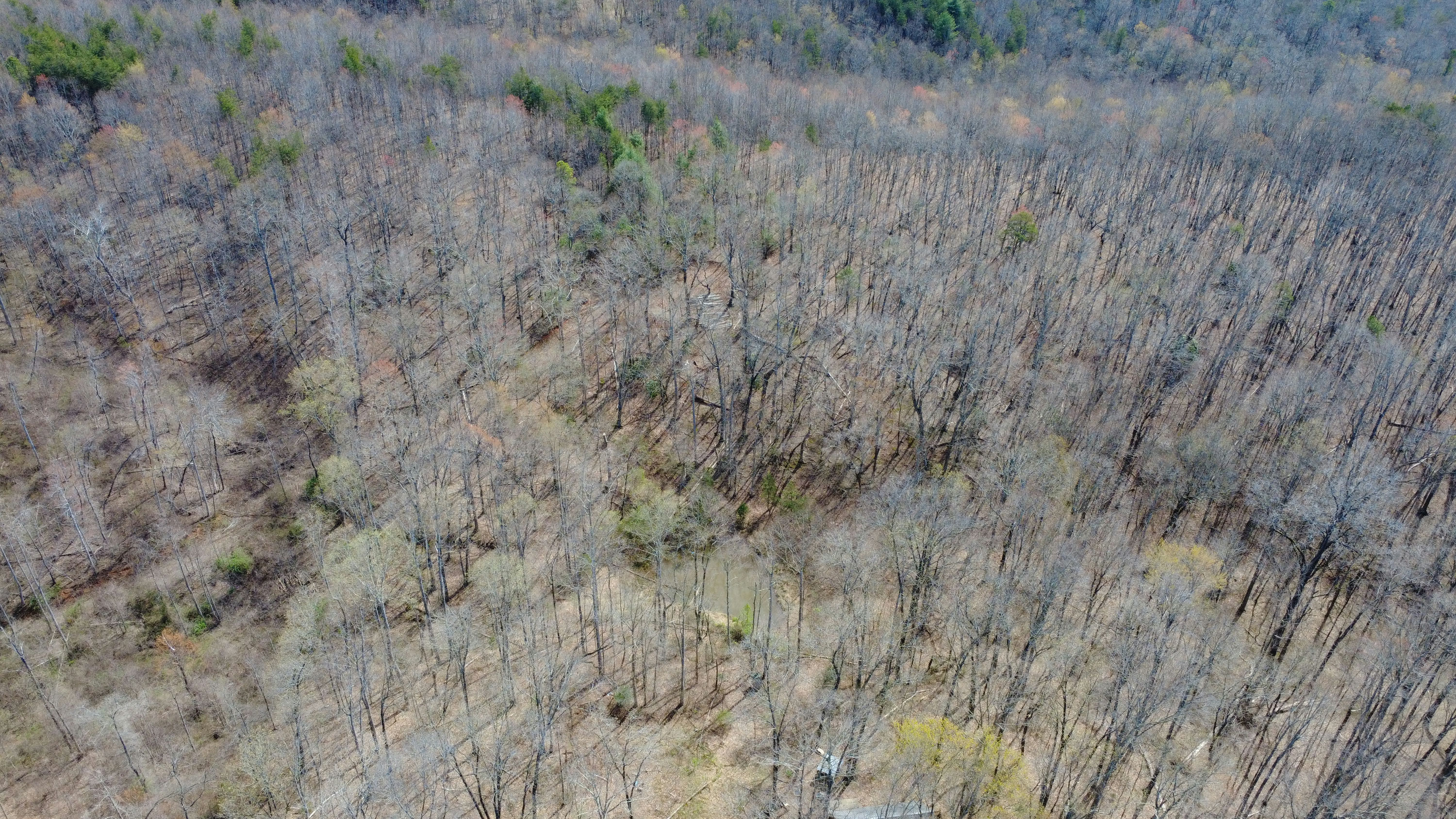 DJI_0185.JPG