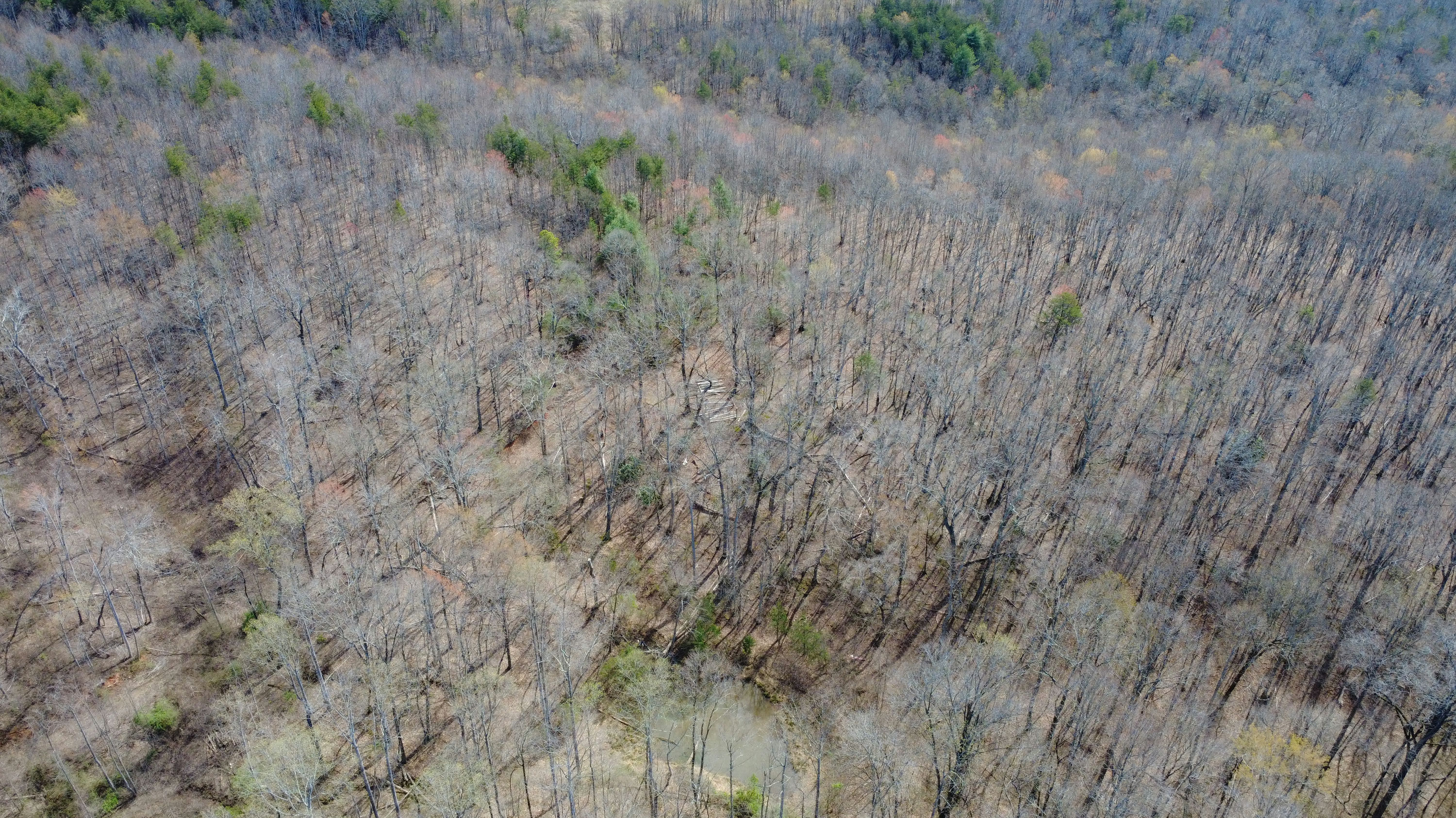 DJI_0184.JPG