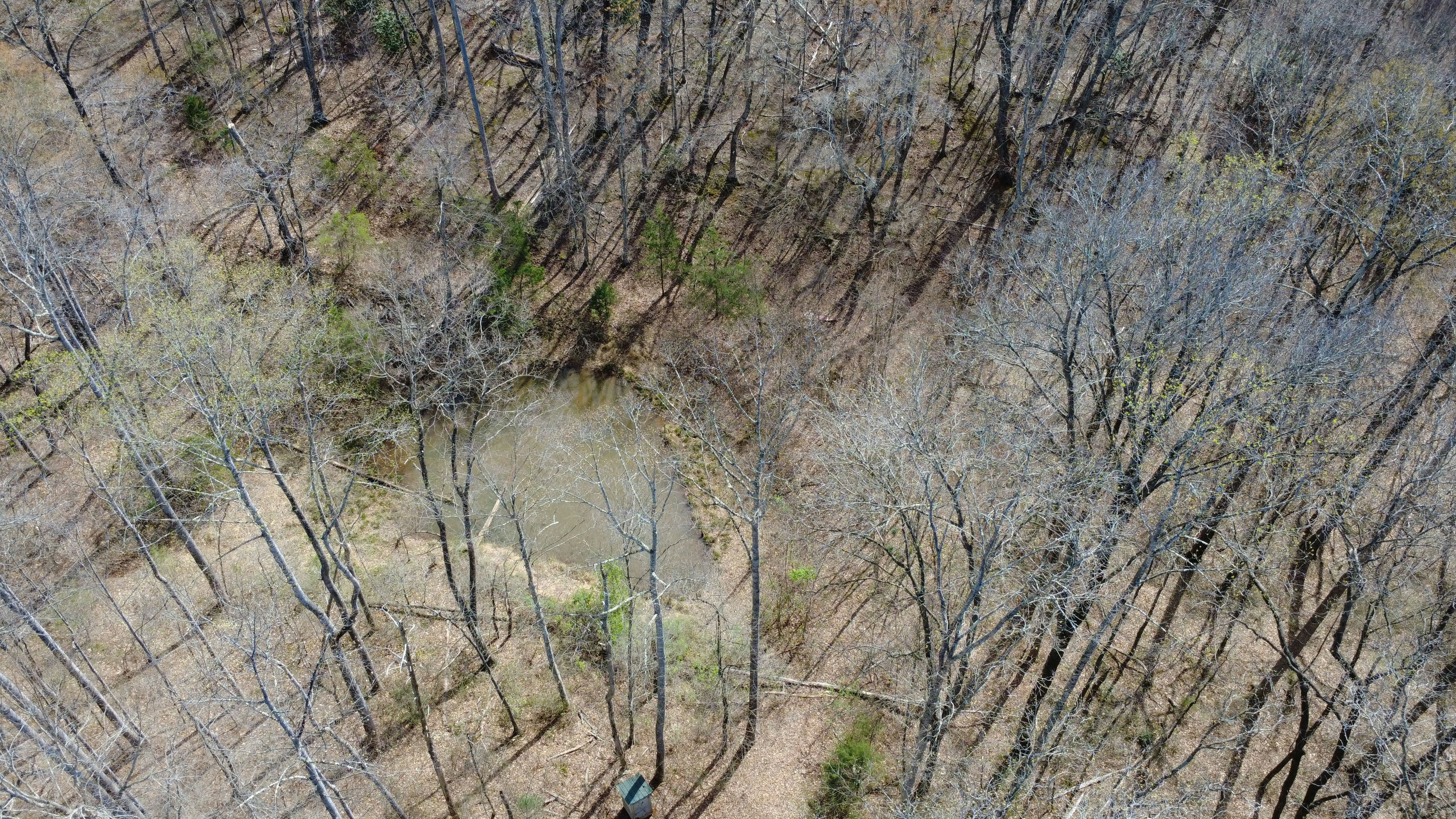DJI_0154.JPG