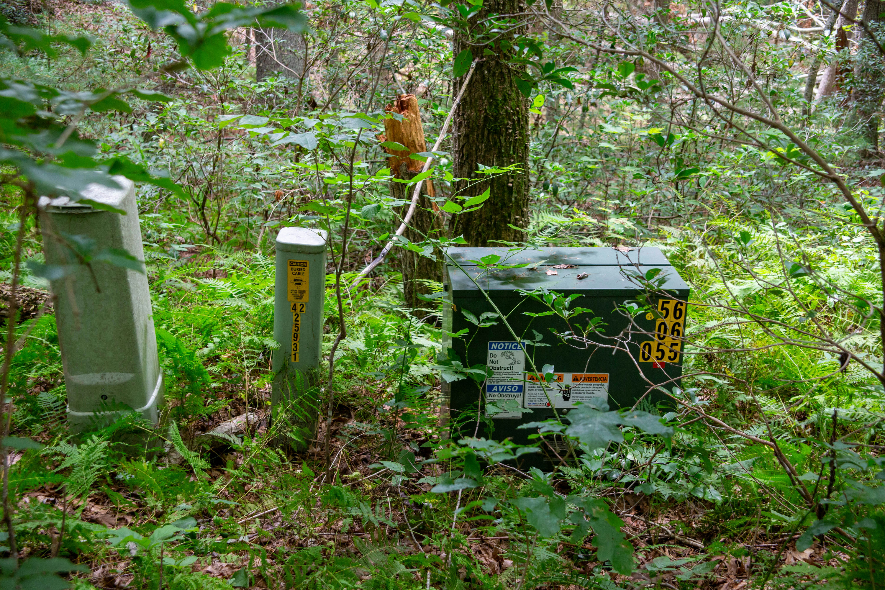 Copy of Grassy-Creek-Lot-10-Ground-16.jpg