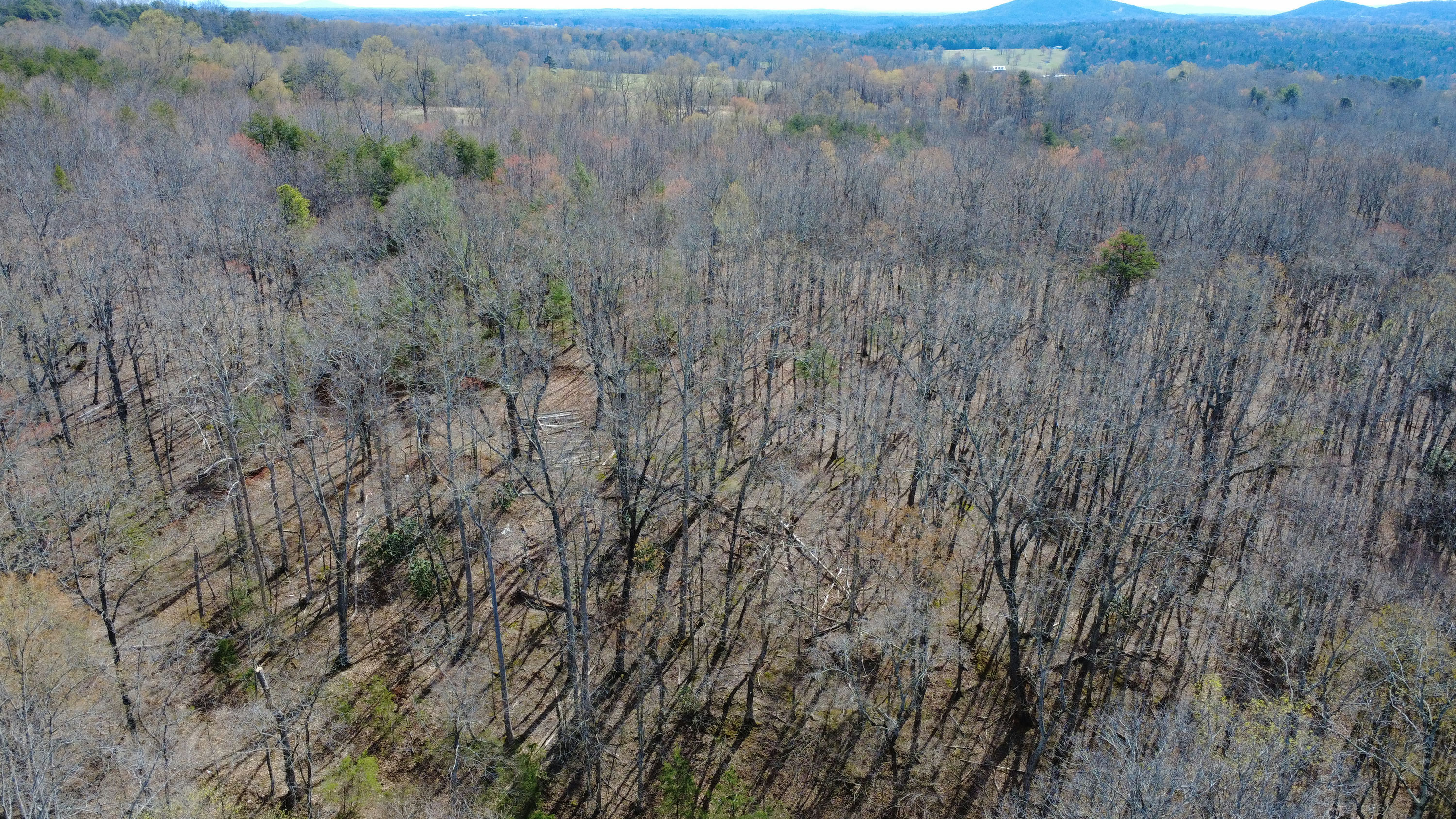 DJI_0157.JPG