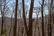 carousel-thumb-18