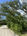 carousel-thumb-20