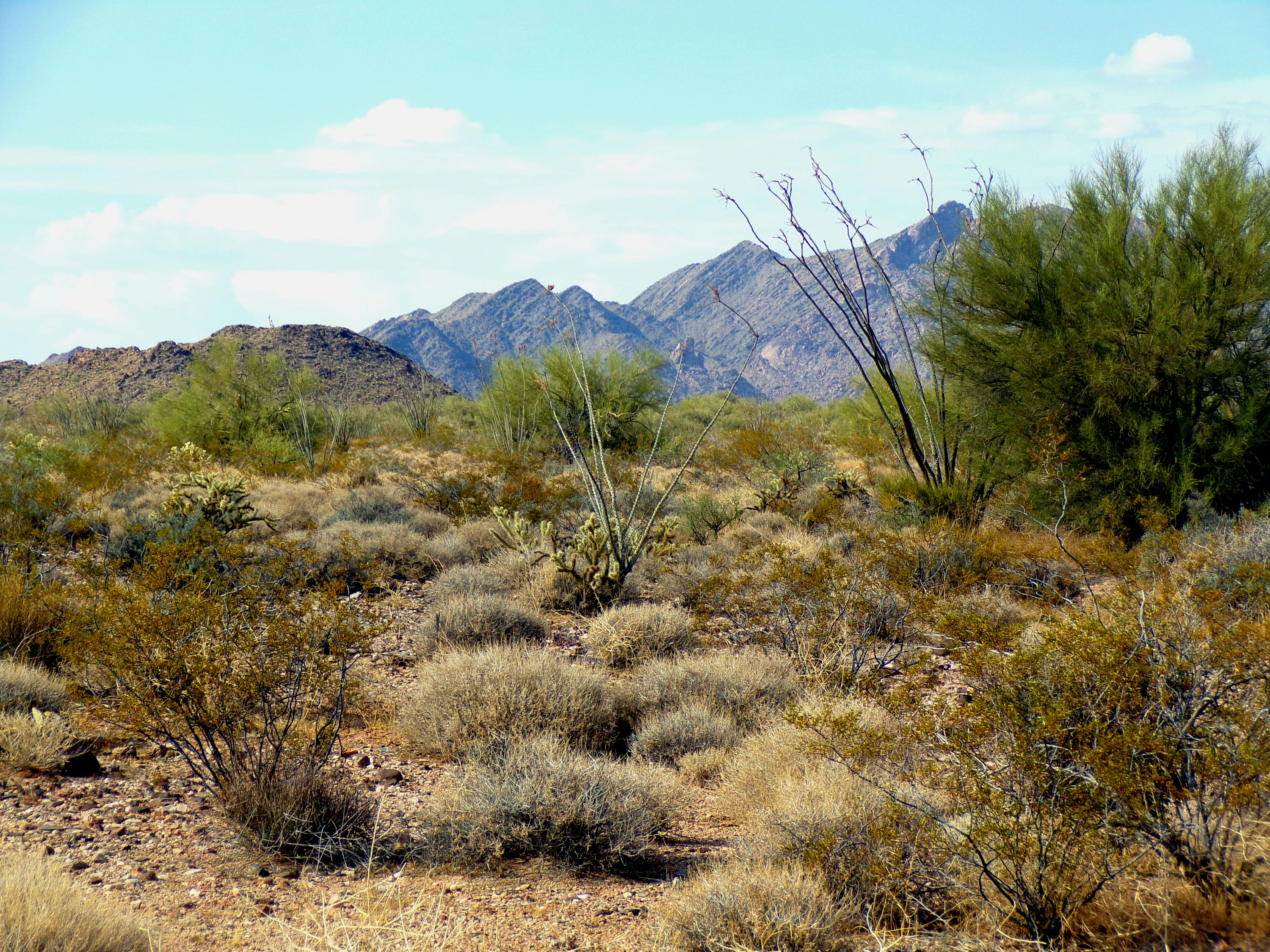 100_1344_DESERT.JPG