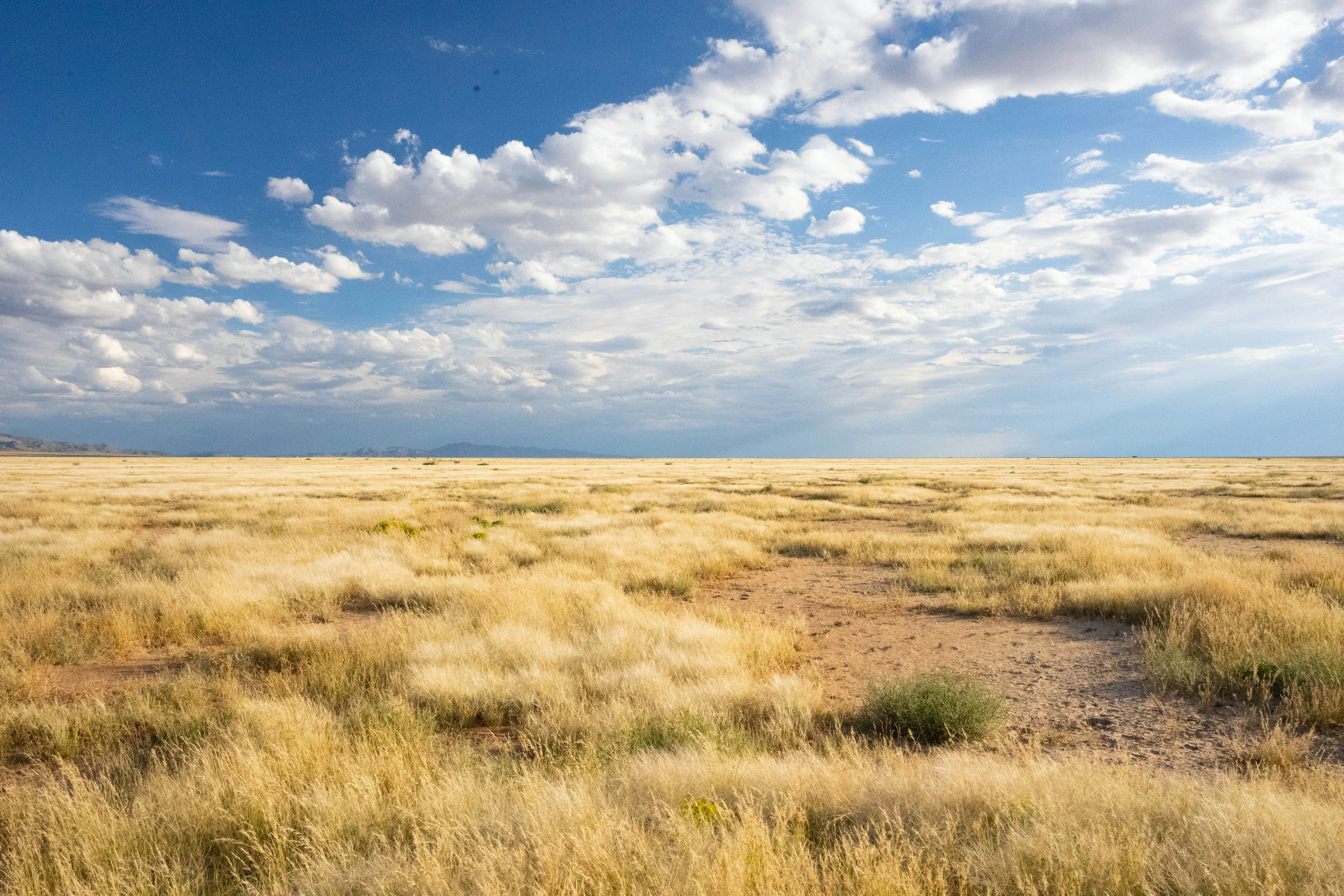 Copy of Vacant Lot-2.jpg