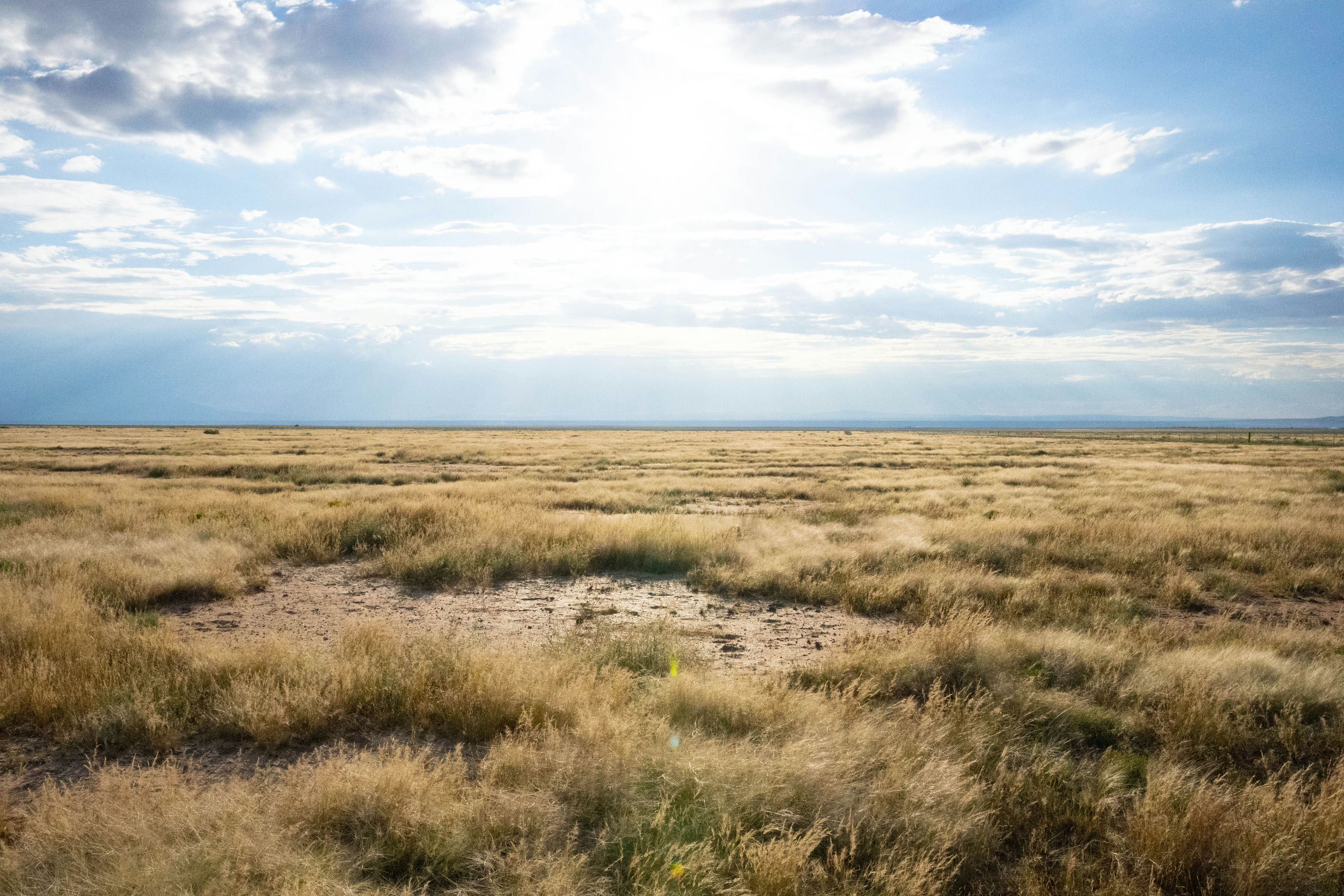 Copy of Vacant Lot-3.jpg
