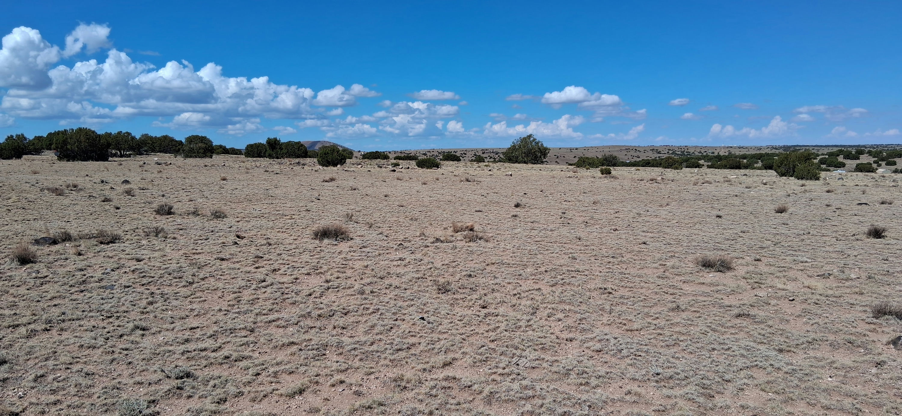 201-40-002B-C West view.jpg