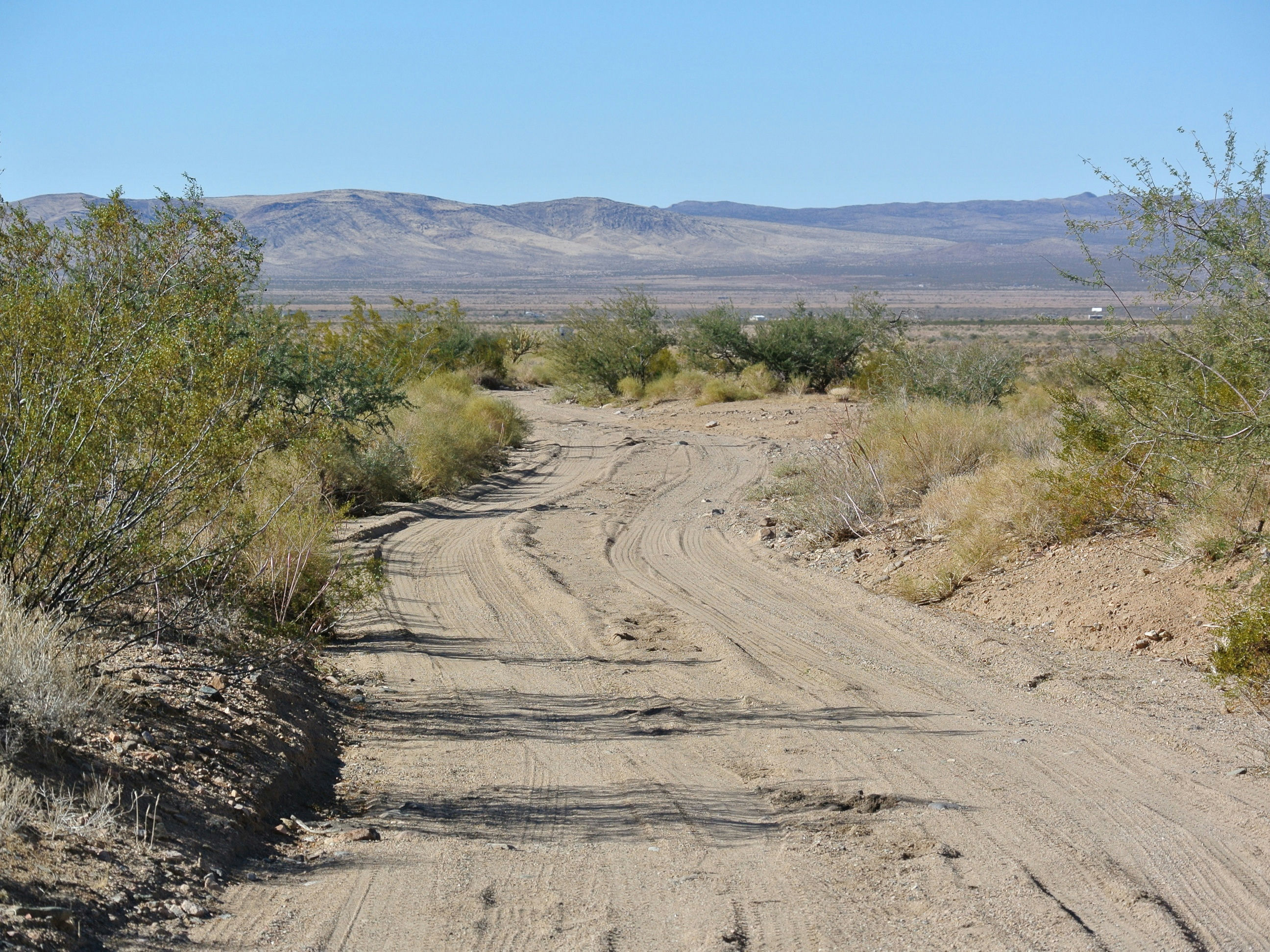 road in from hwy 93_CROP_LISTING.JPG
