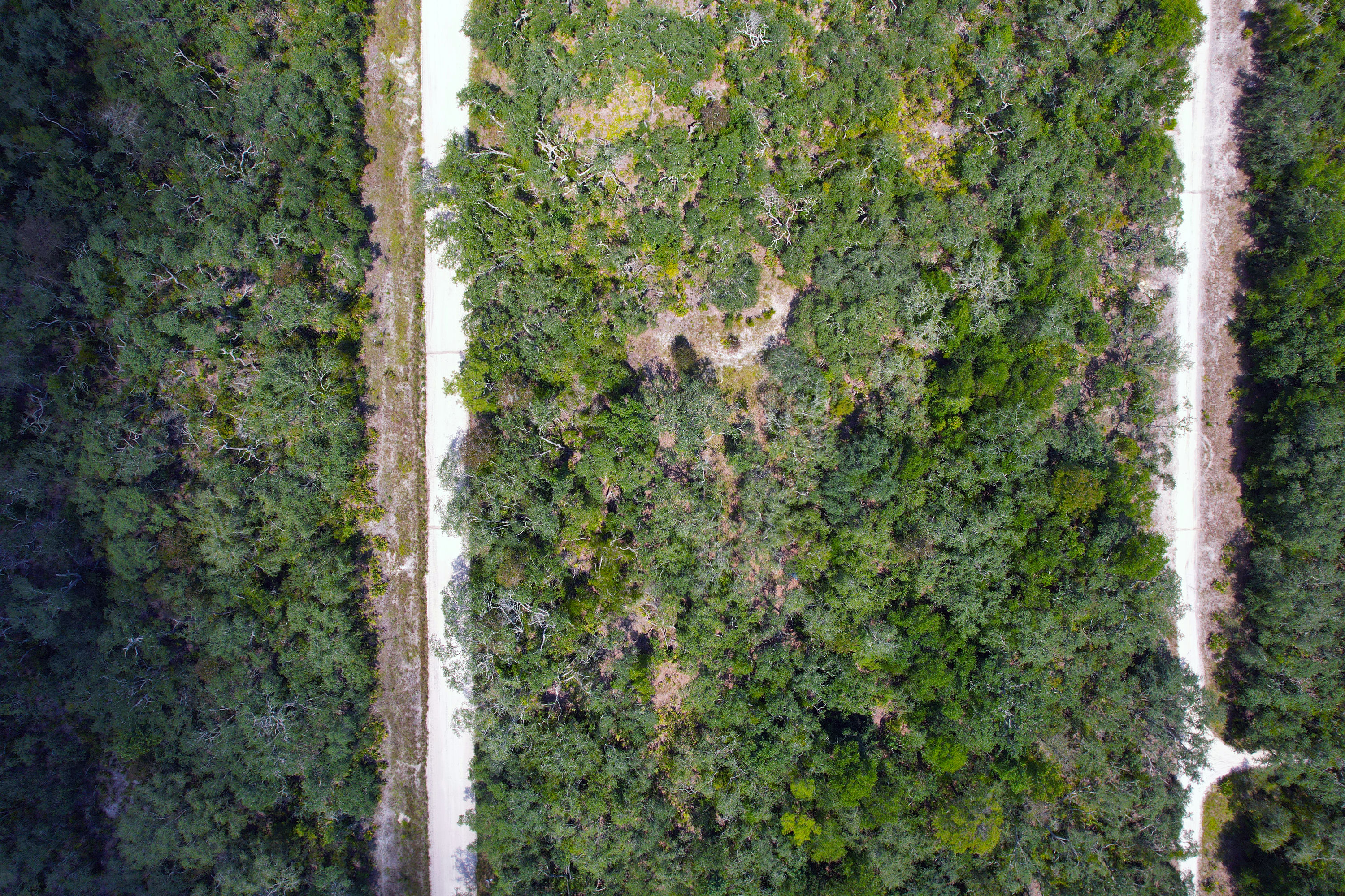 DJI_0615.jpg