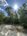 carousel-thumb-4