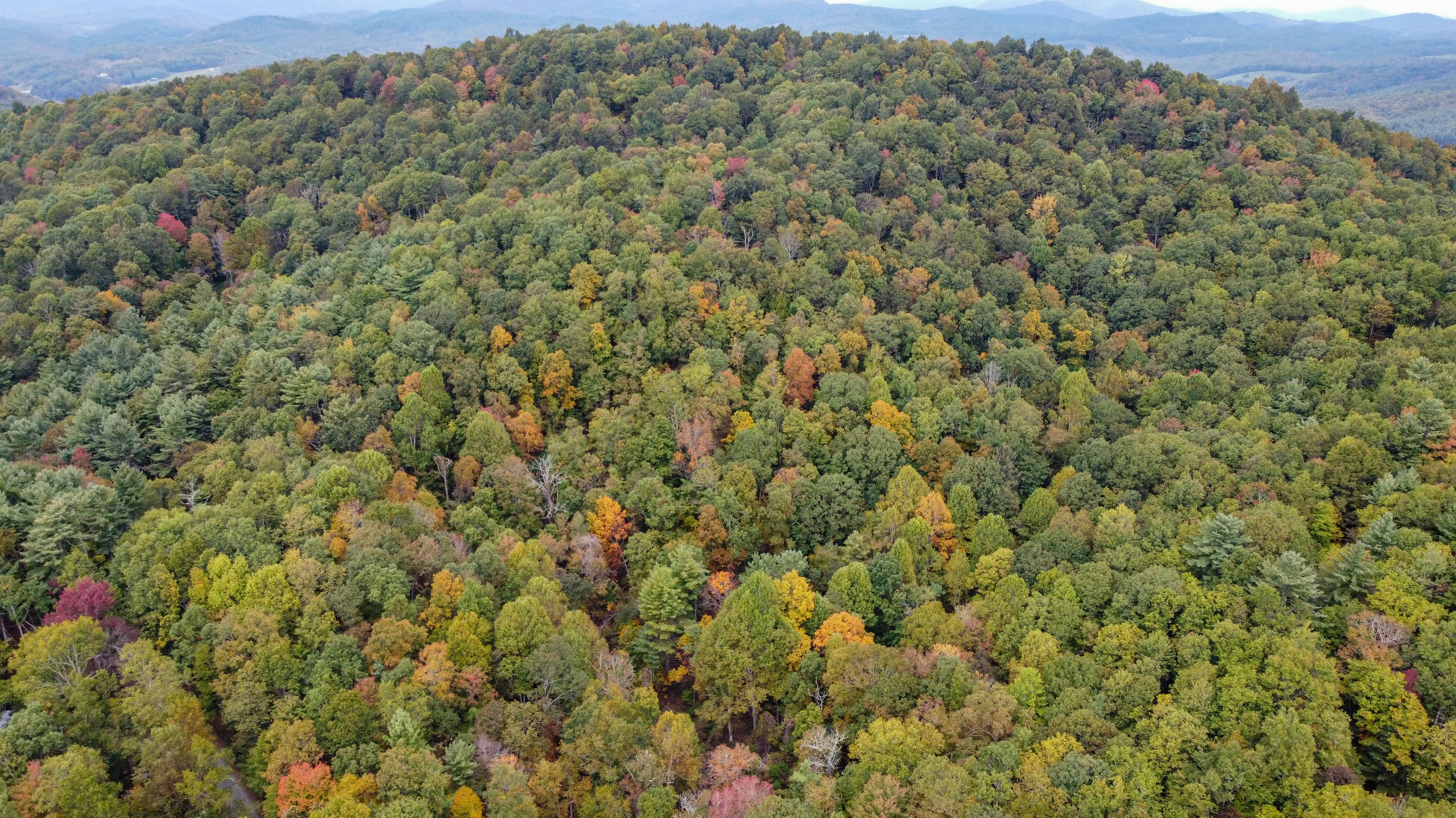 Copy of Pine-Knoll-Drone-7.jpg