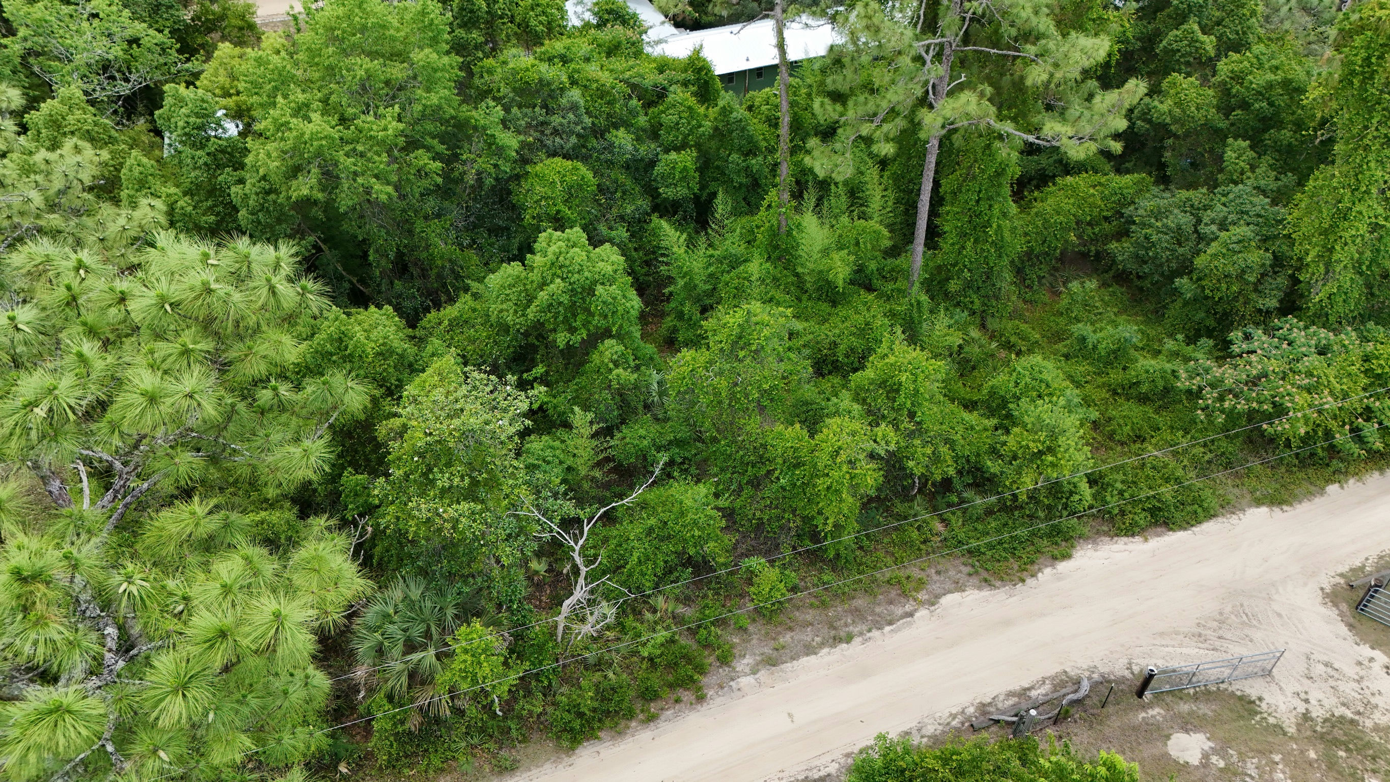 DJI_20250521142613_0090_D.JPG