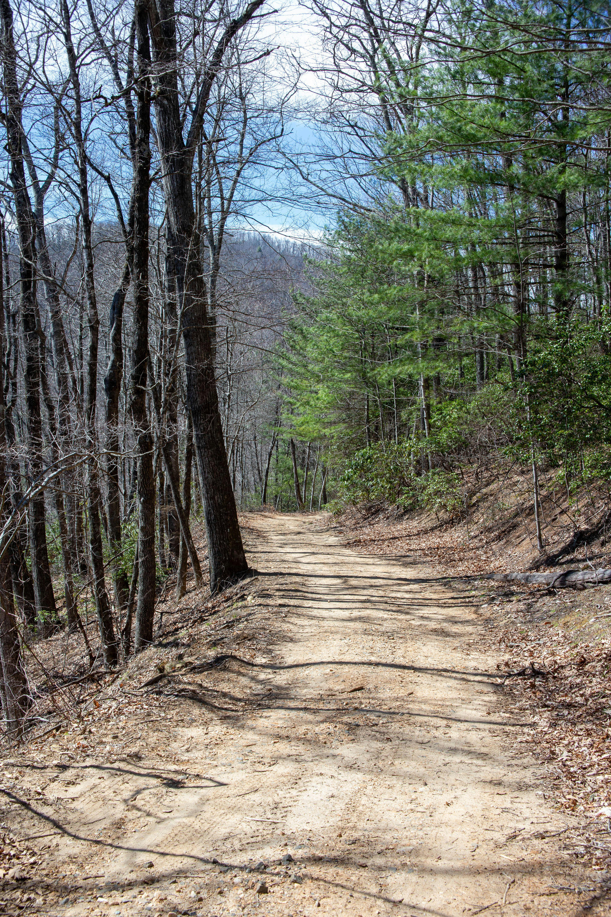 Copy of EndlessWay-32.jpg
