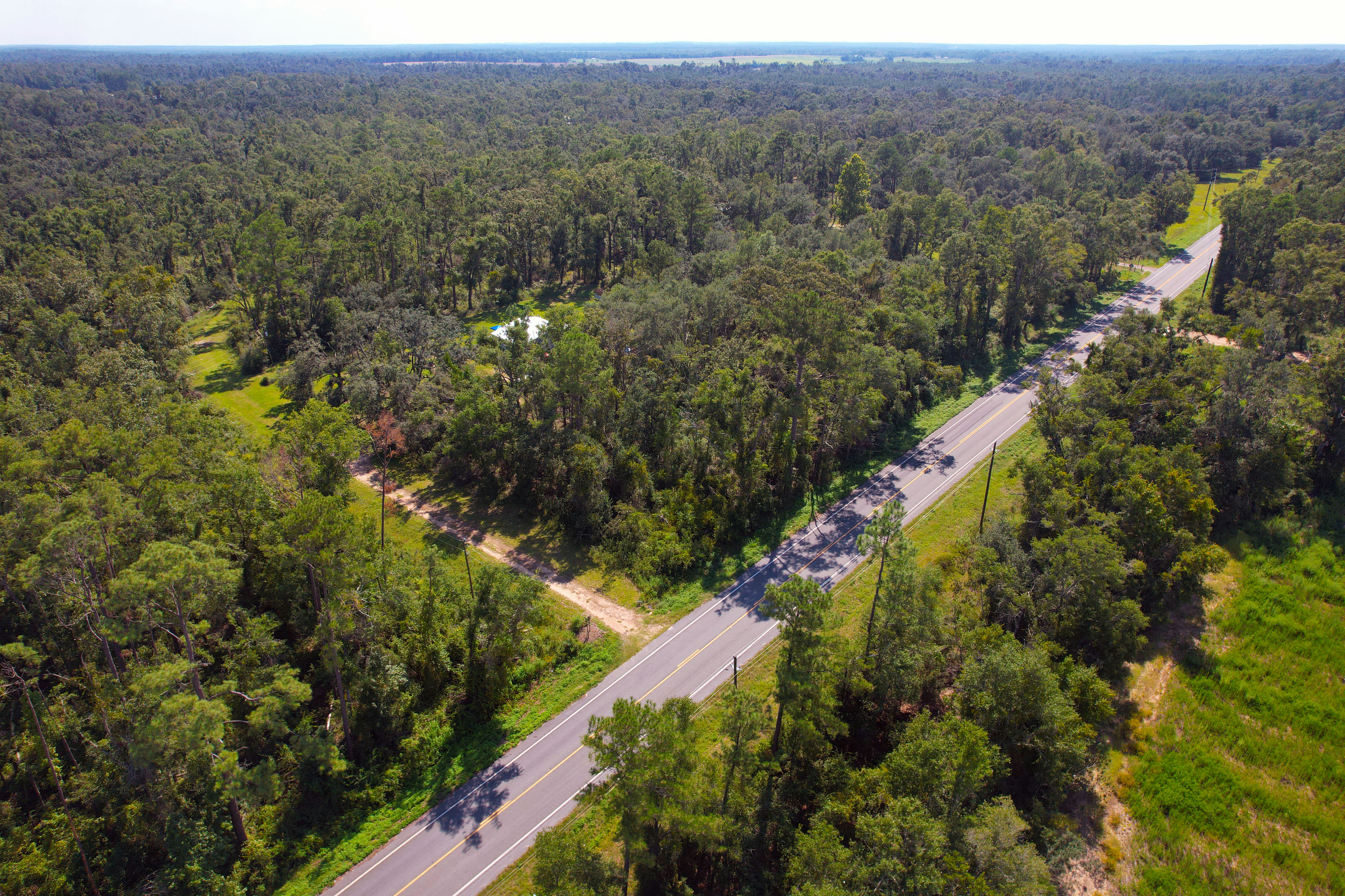 DJI_0772.jpg
