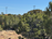 carousel-thumb-10