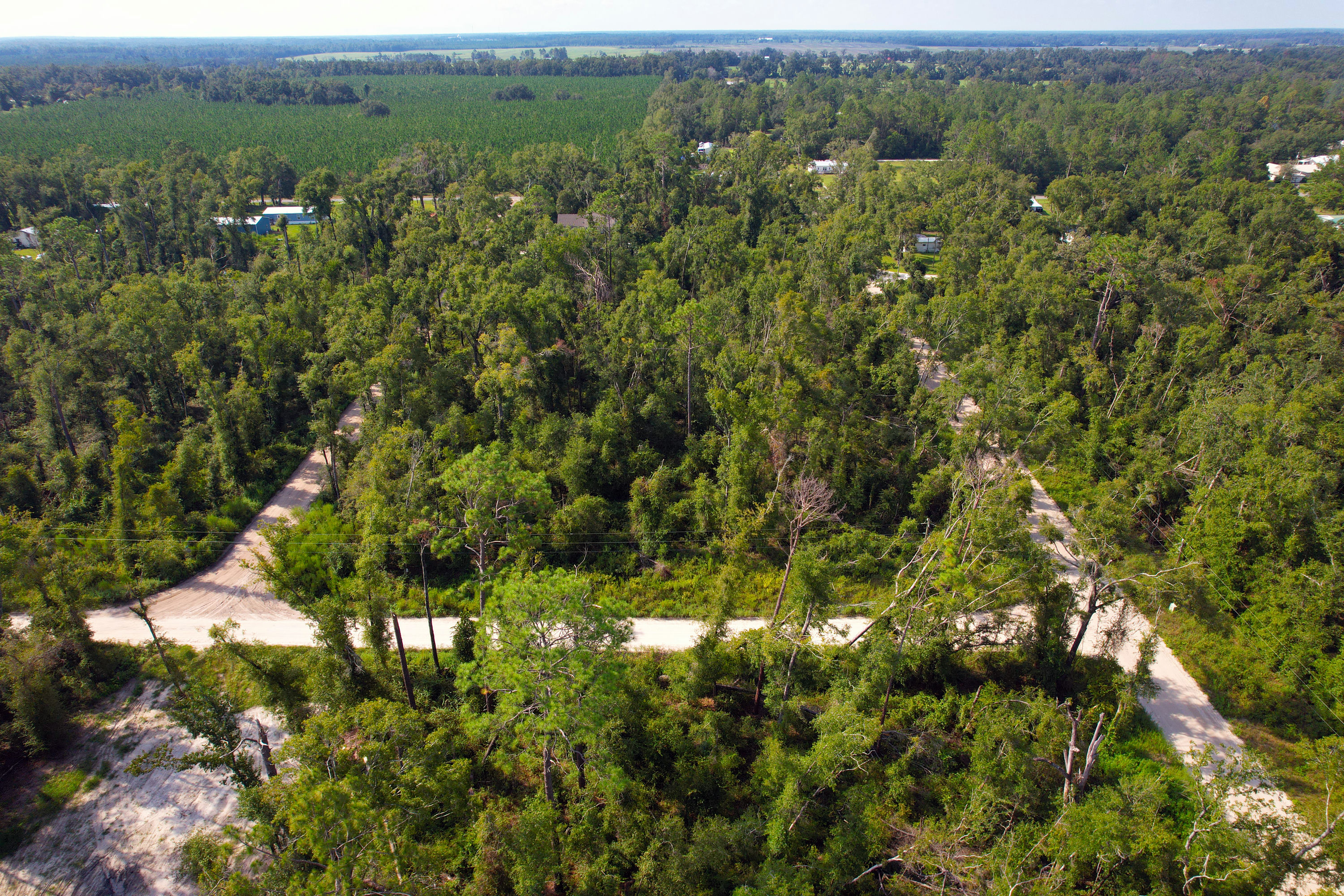 DJI_0299.jpg