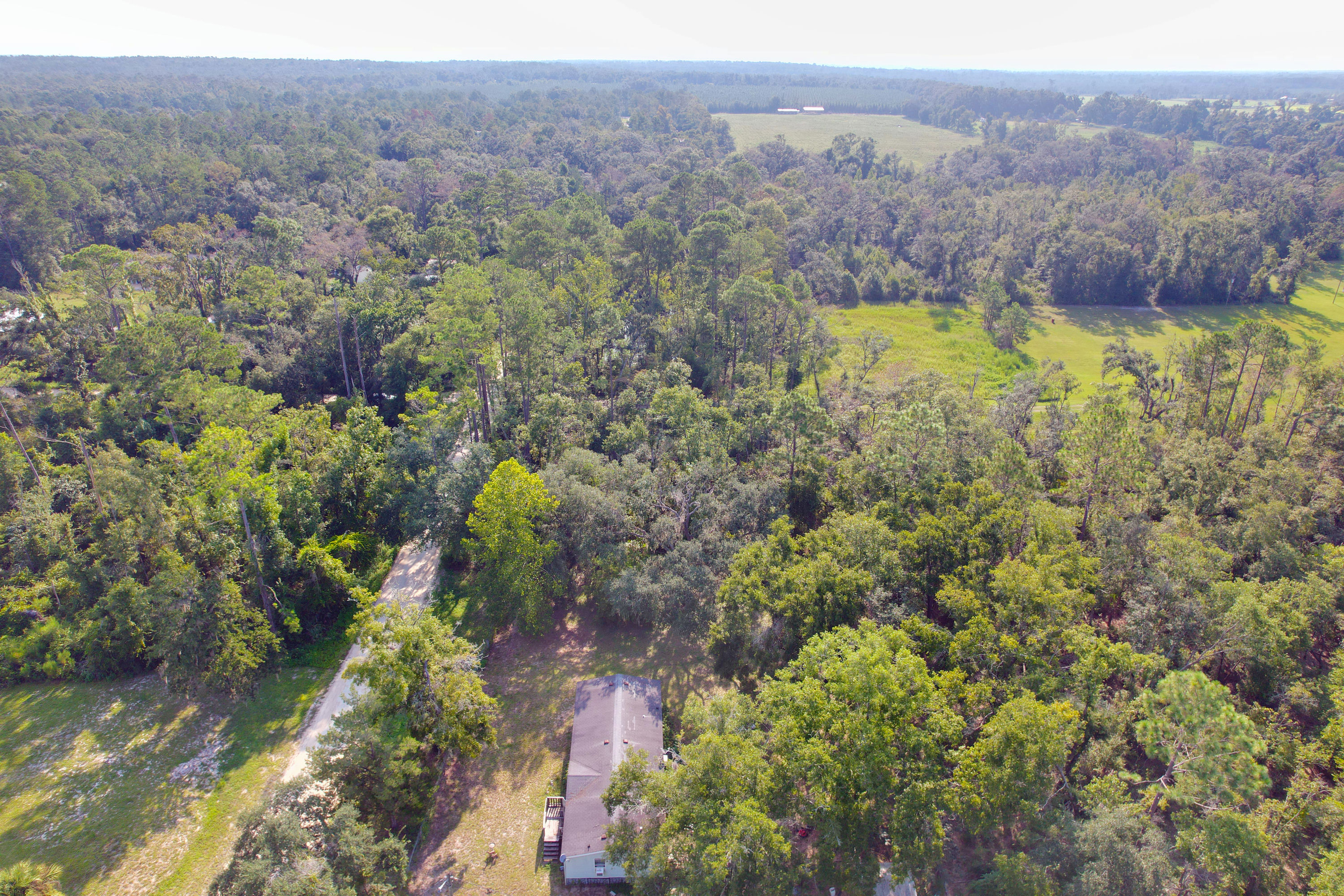 DJI_0209.jpg