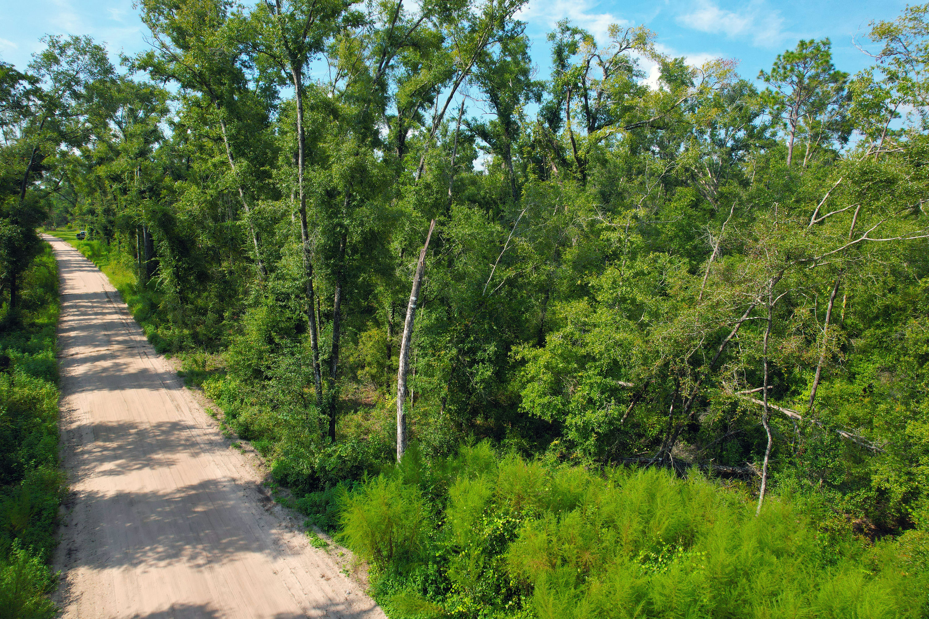DJI_0336.jpg
