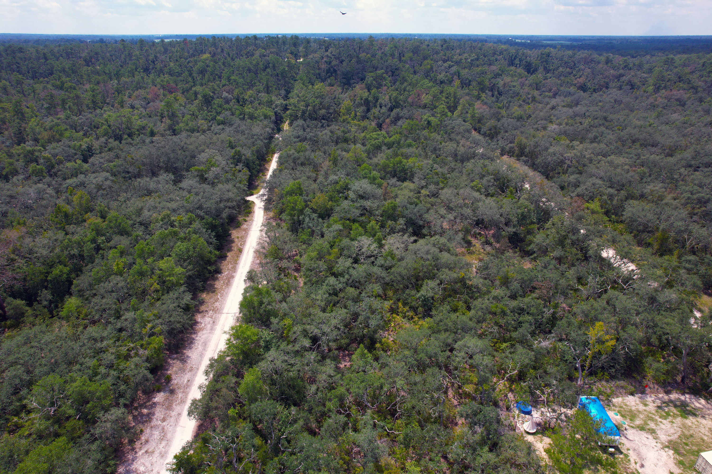DJI_0553.jpg