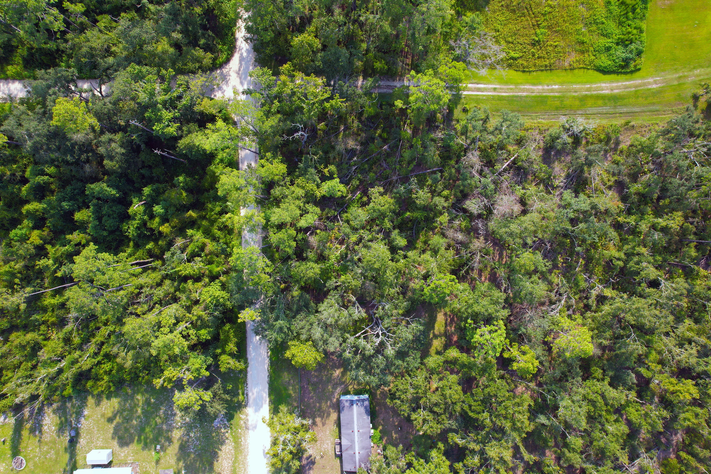 DJI_0230.jpg