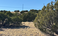 carousel-thumb-9