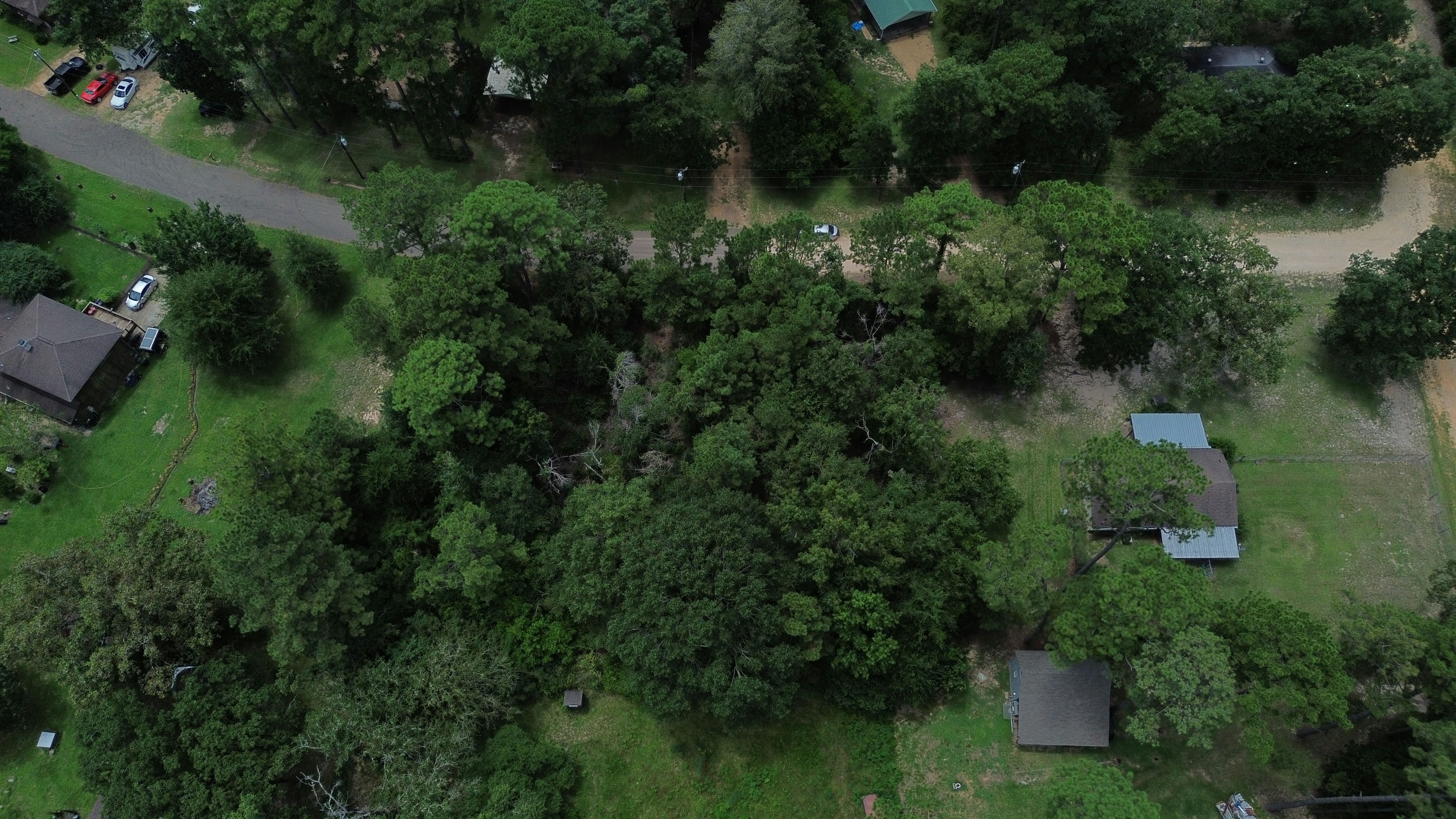 DJI_0303.JPG