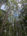 carousel-thumb-8