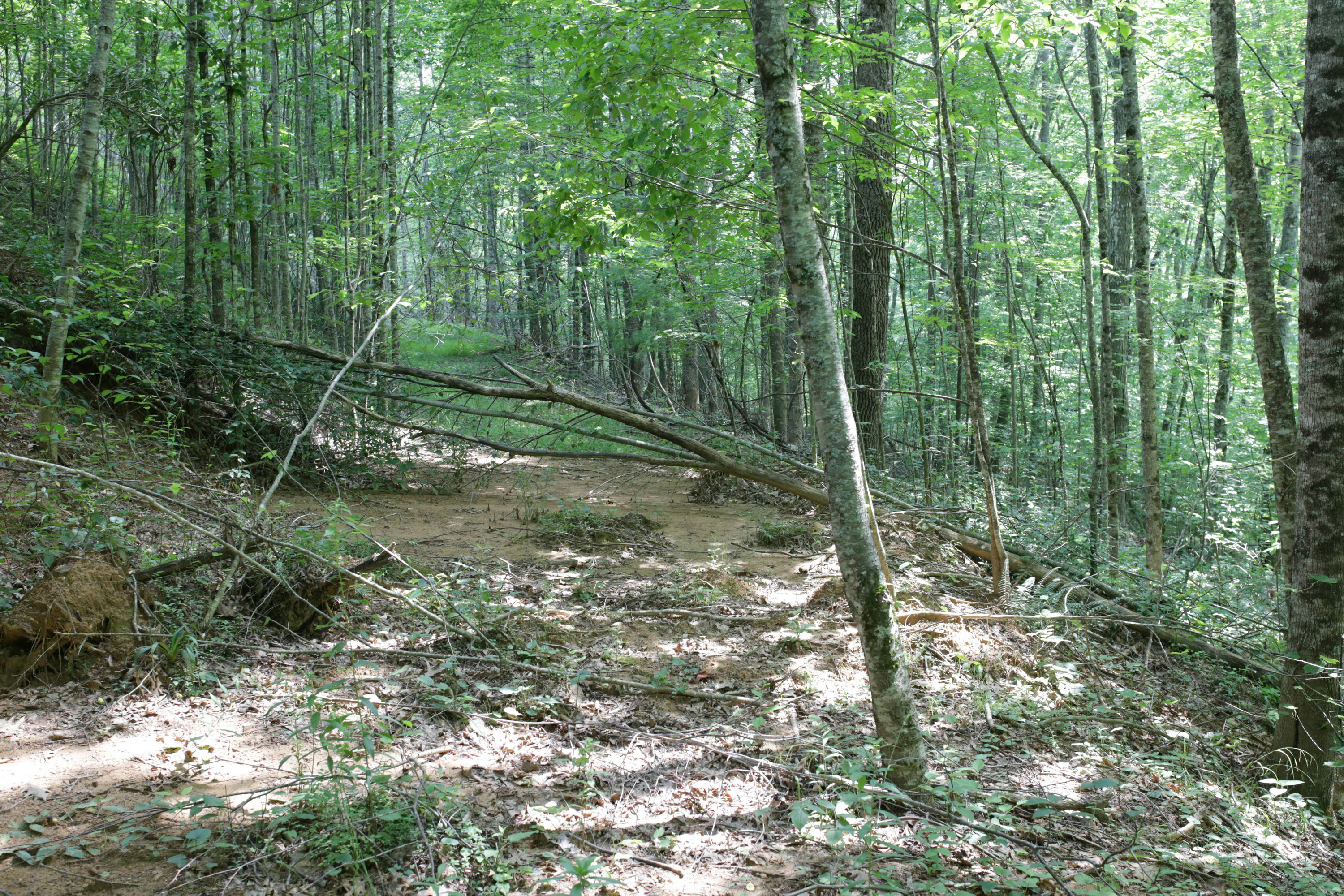 250807_KlinkTrail_10.jpg