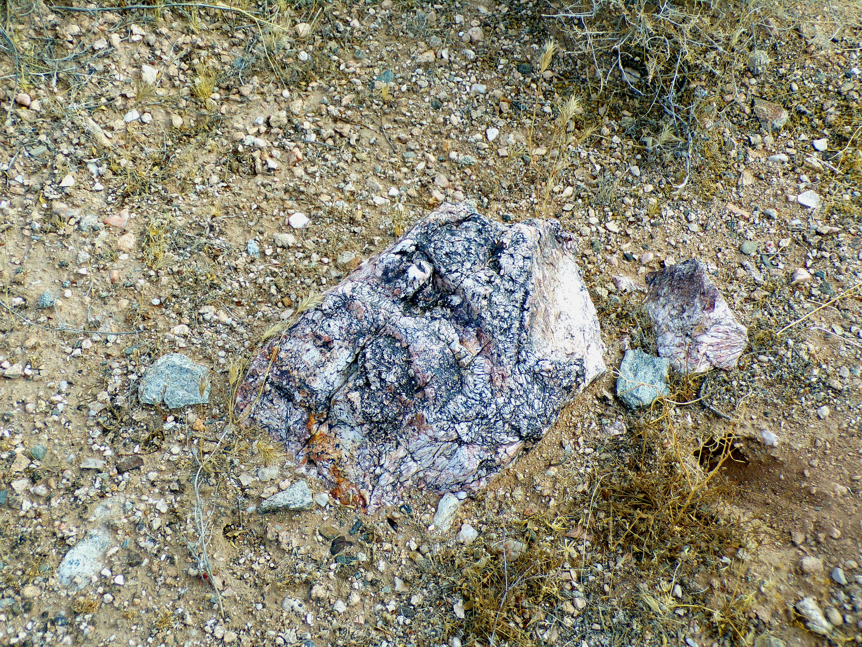 100_1335_DESERT.JPG