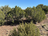 carousel-thumb-12