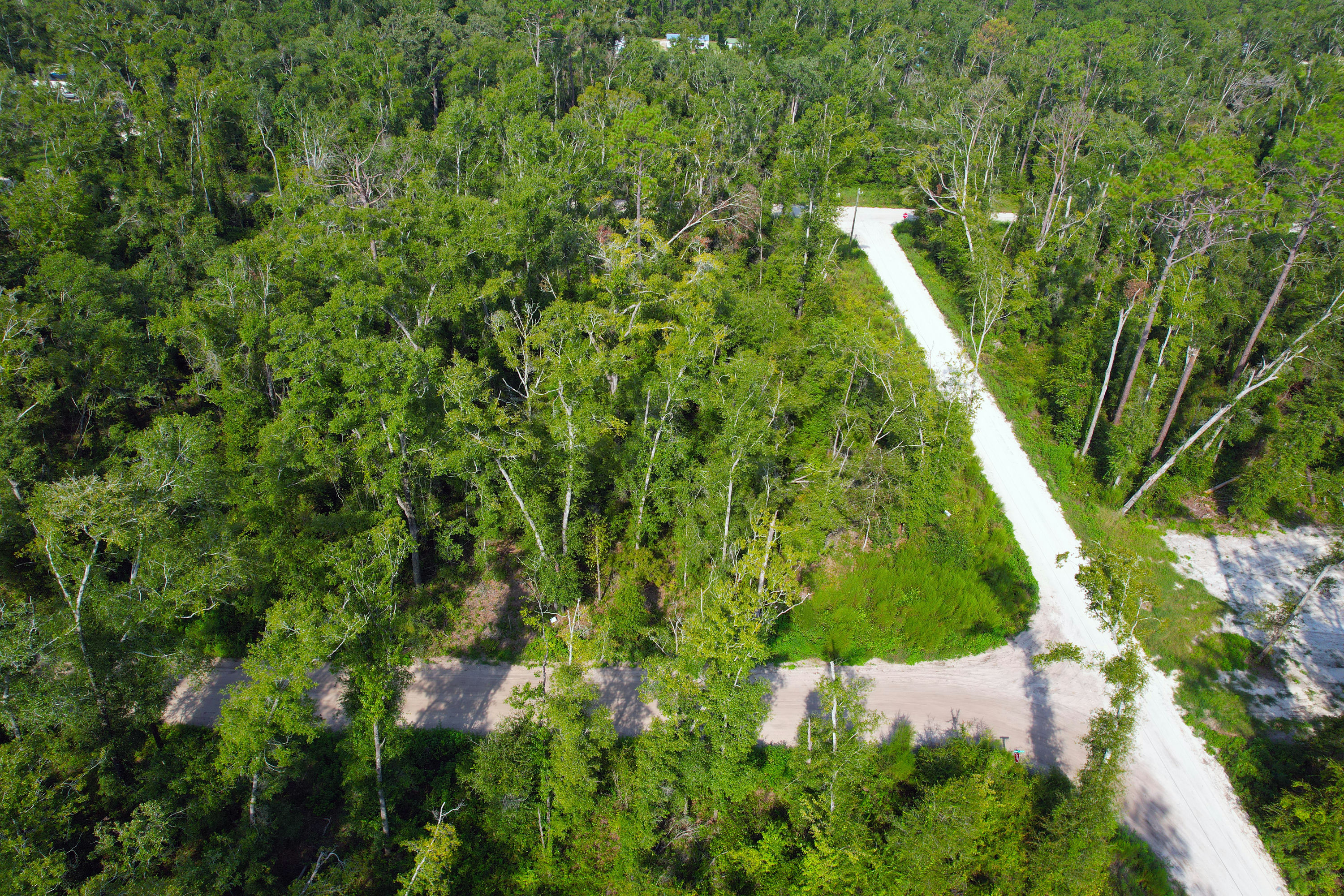 DJI_0302.jpg