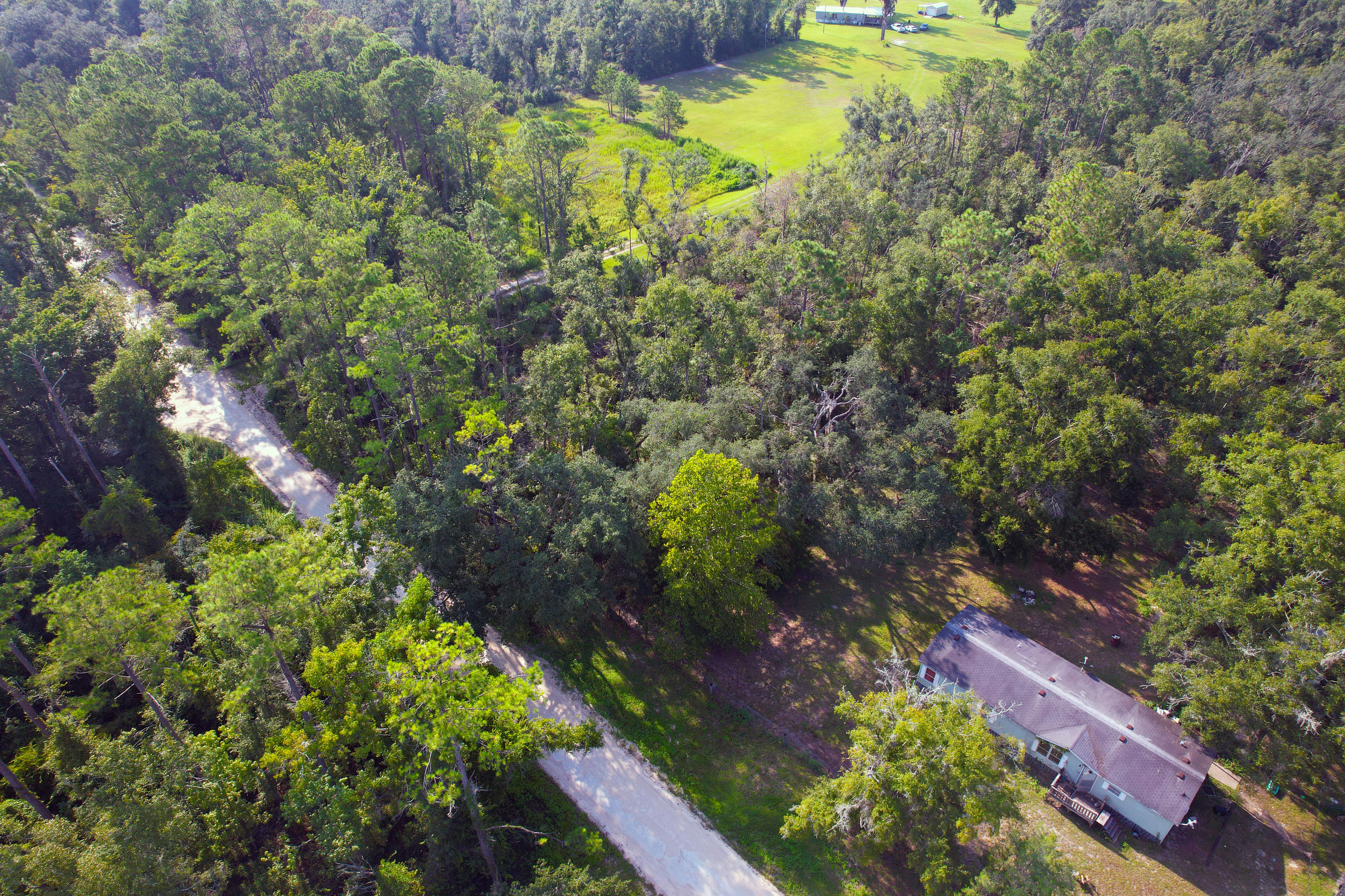 DJI_0217.jpg