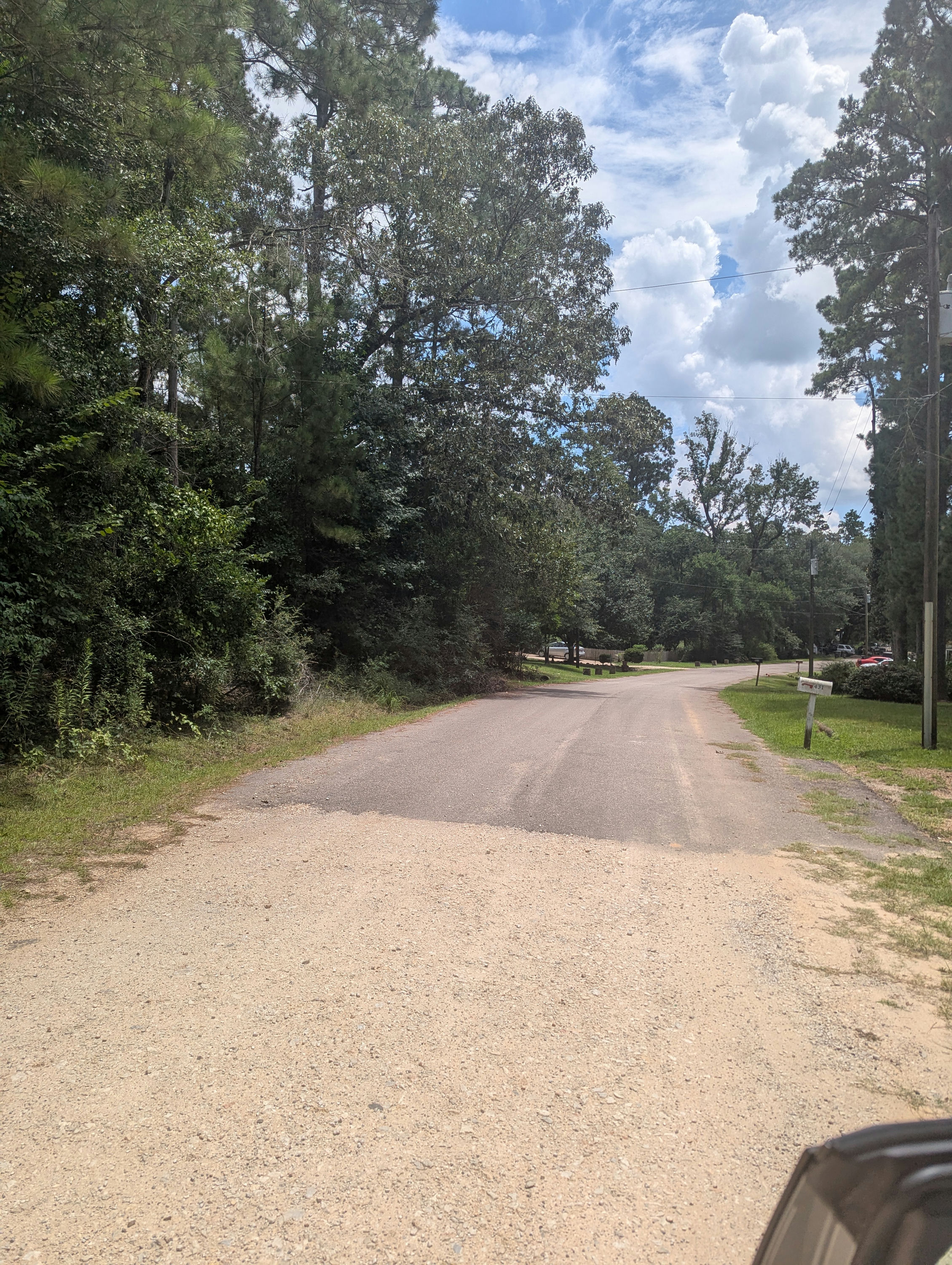 PXL_20250811_182346255.jpg
