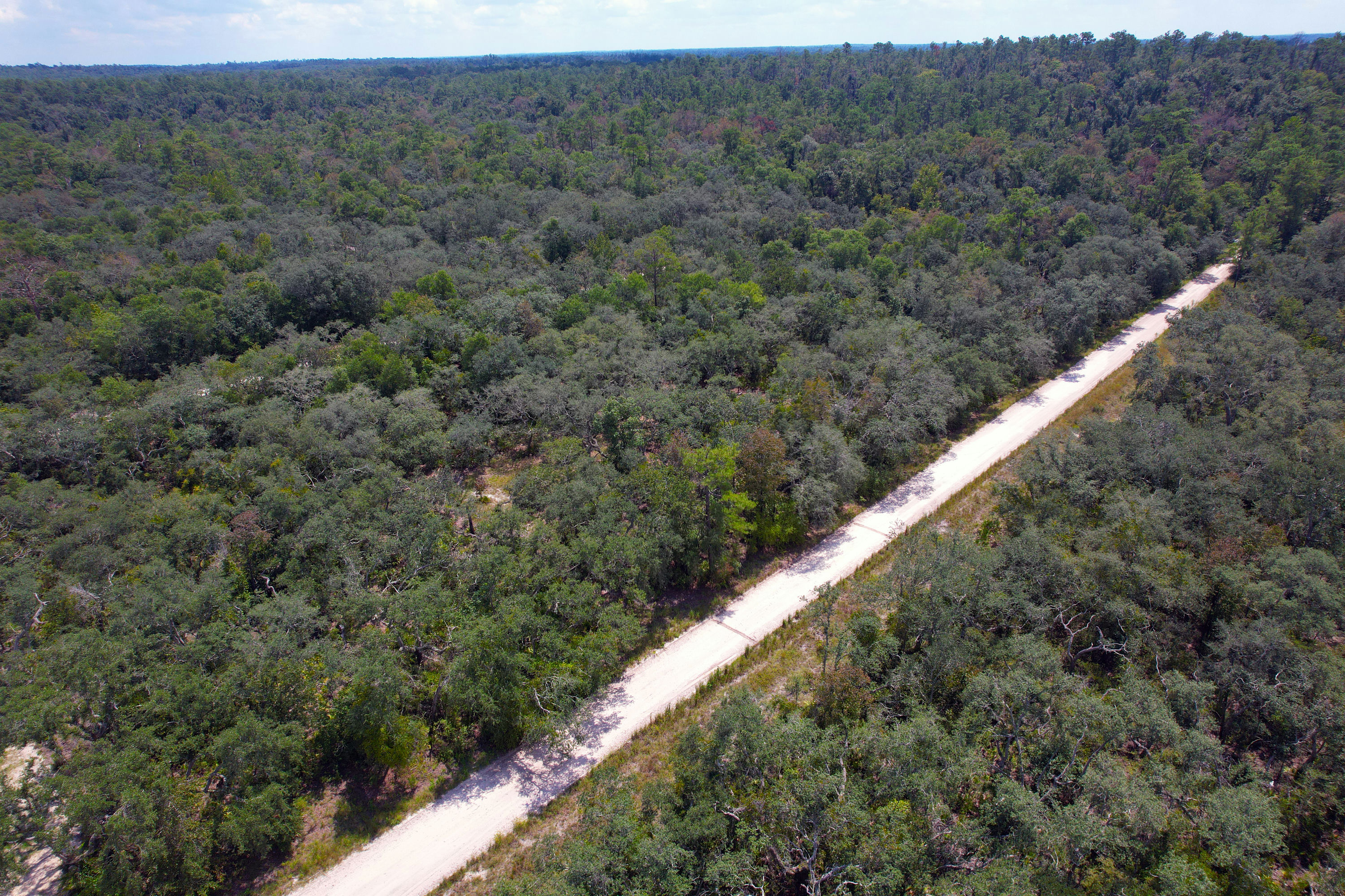 DJI_0602.jpg