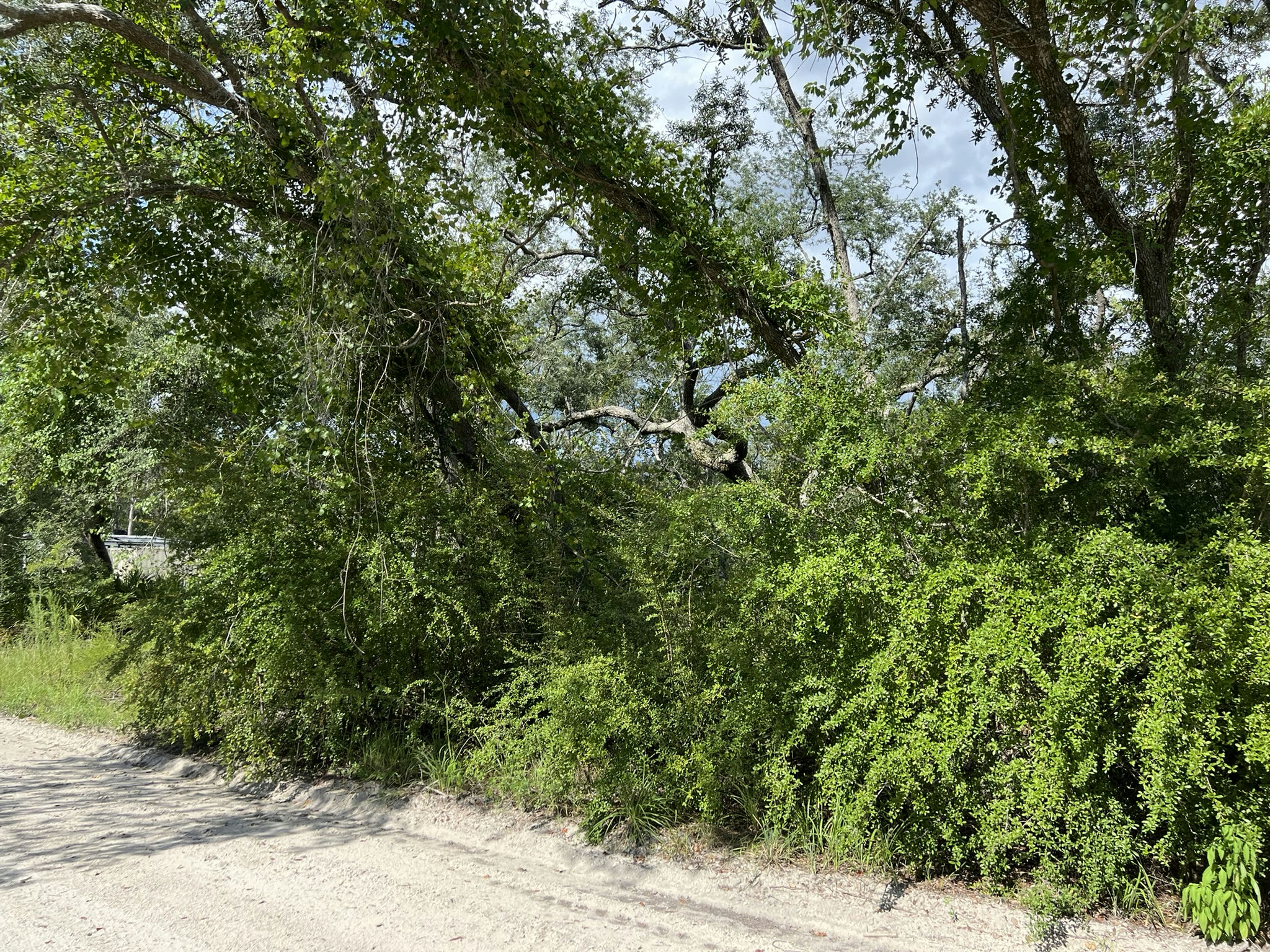 IMG_5814.JPEG