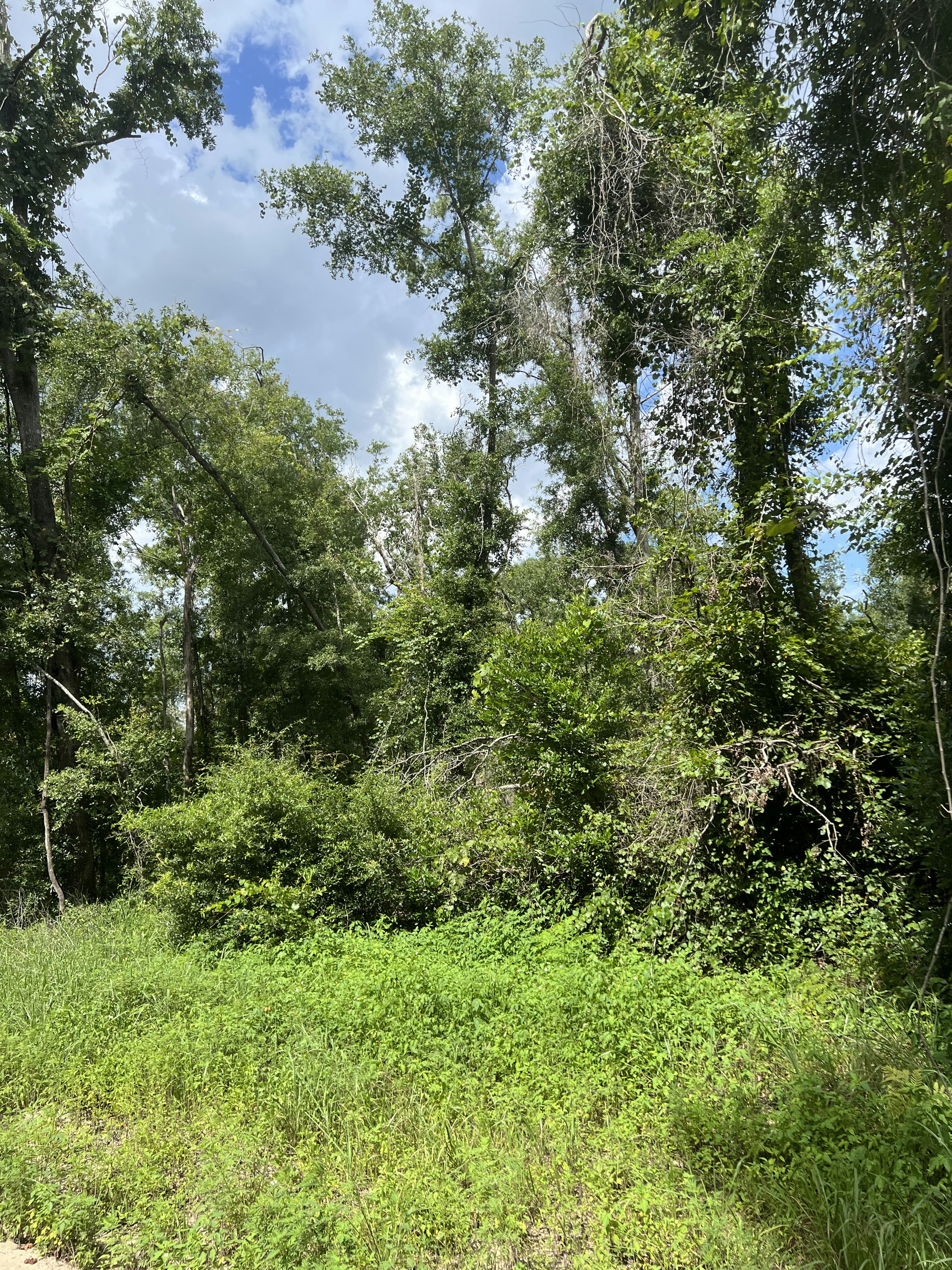 IMG_5654.jpg