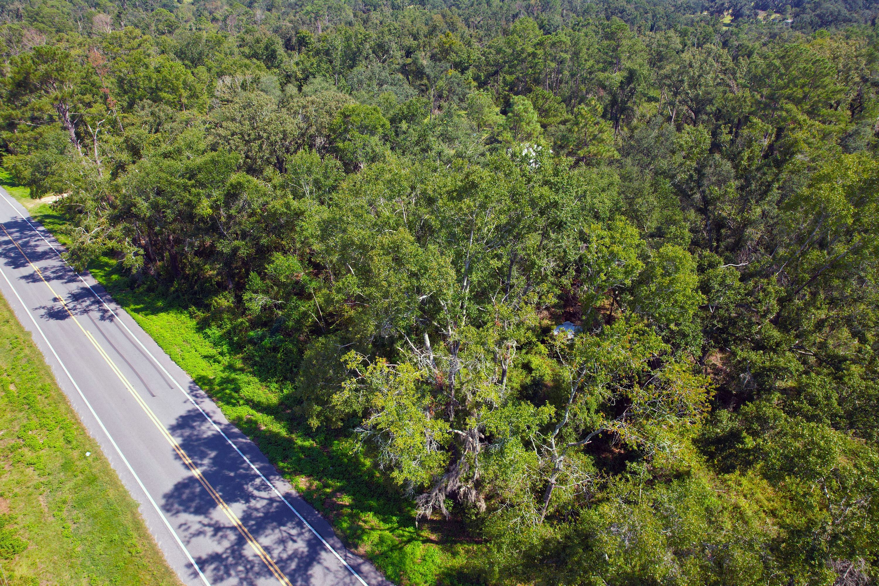 DJI_0768.jpg