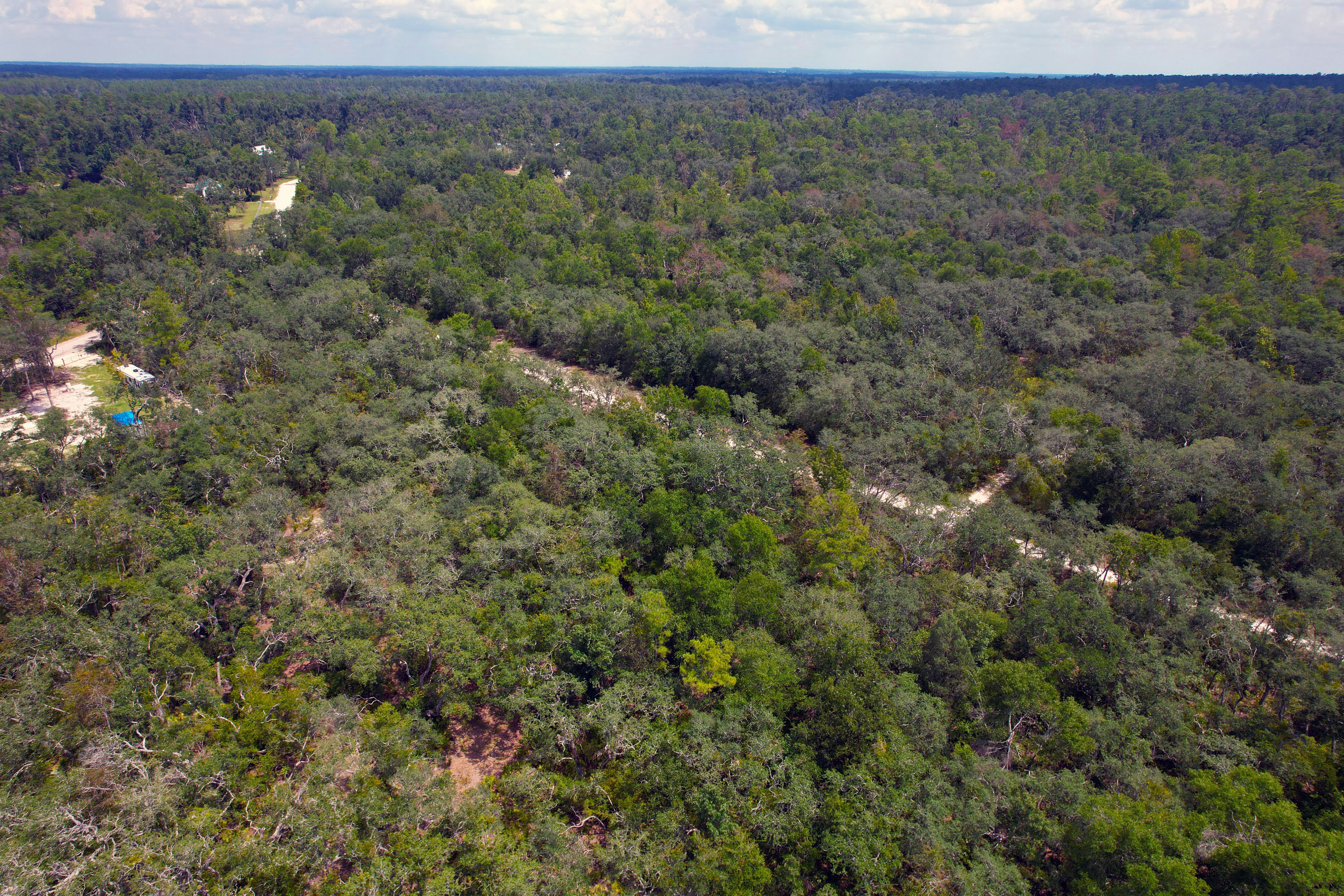 DJI_0556.jpg