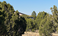 carousel-thumb-4