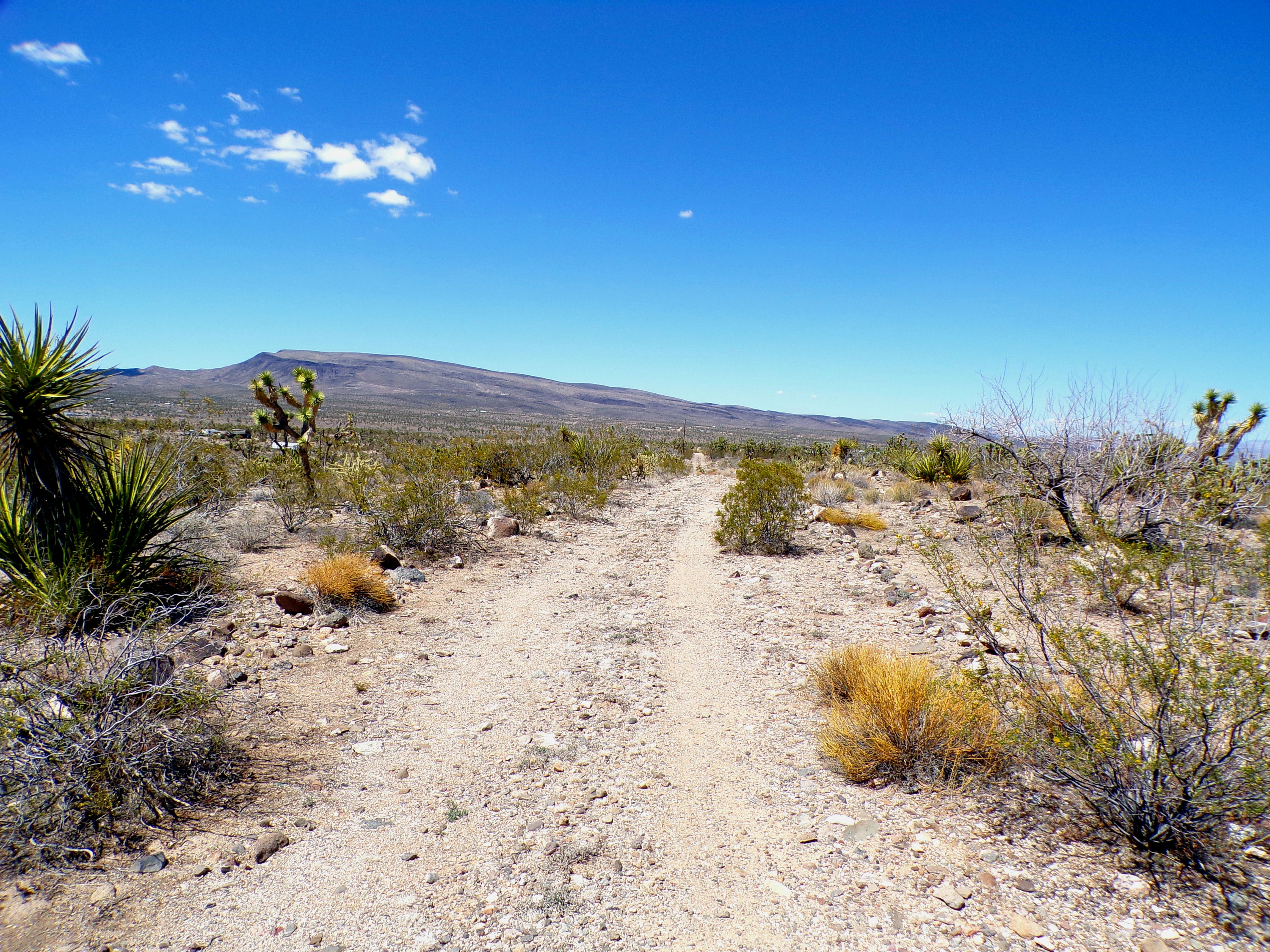 100_0761_DESERT.JPG