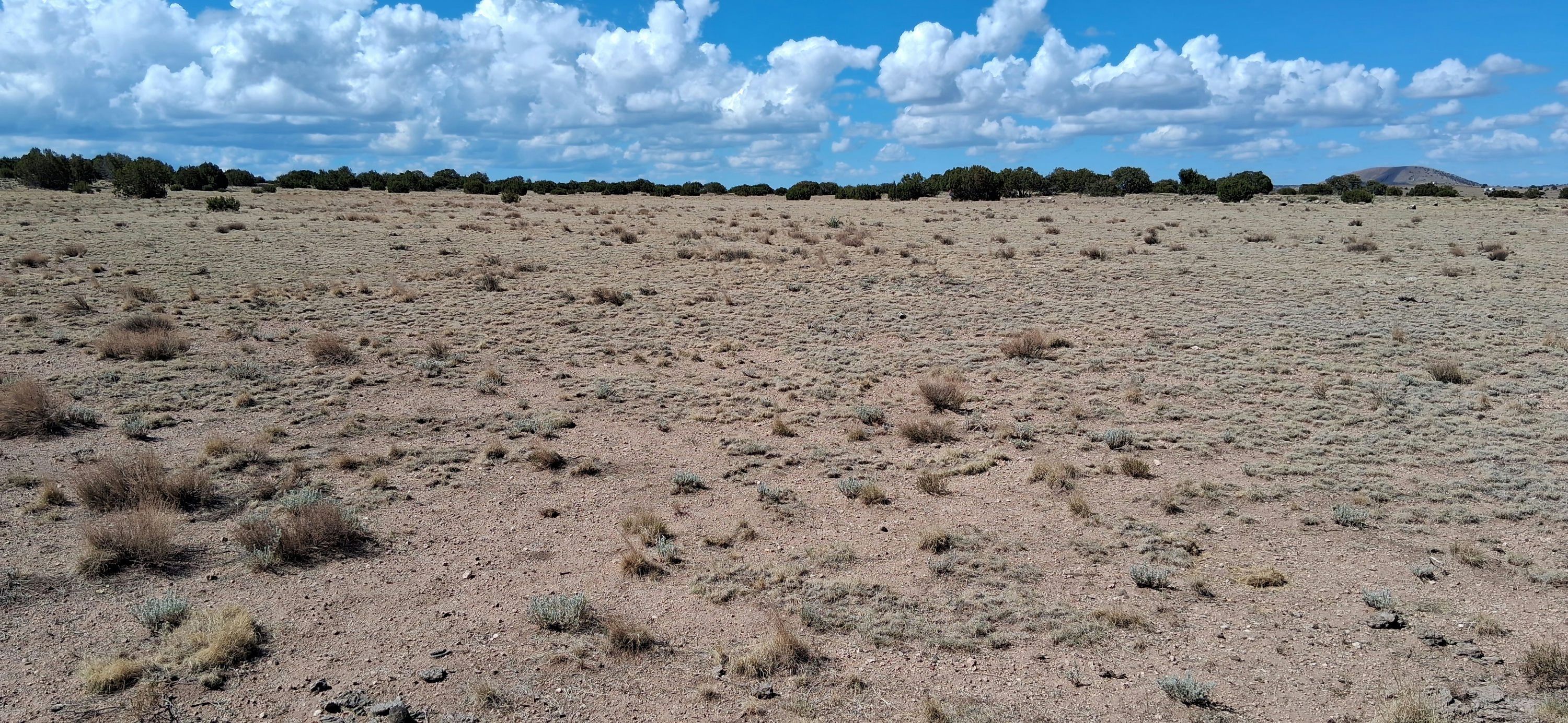 201-40-002B-C NE corner facing SW corner.jpg
