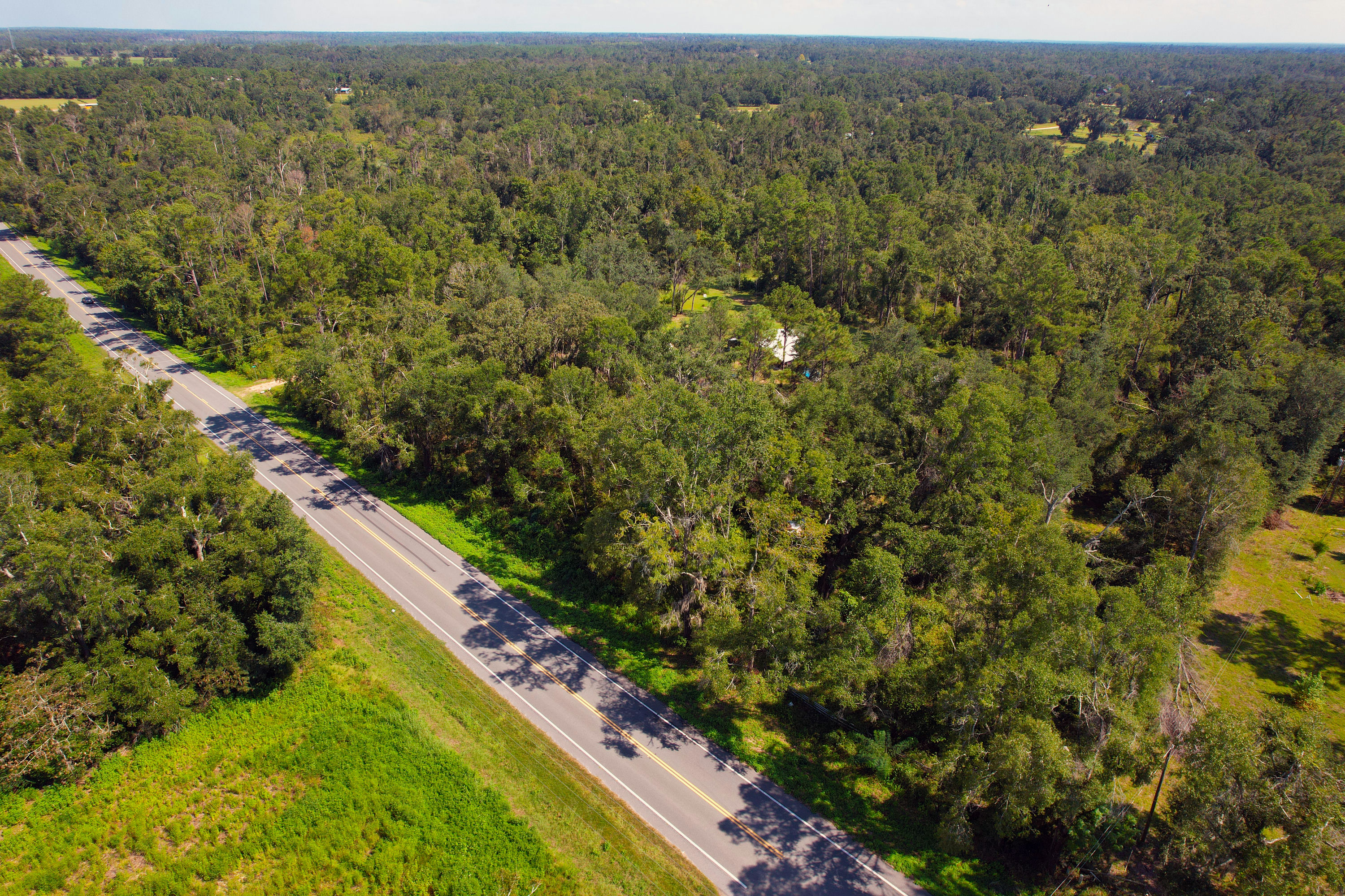 DJI_0774.jpg