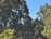 carousel-thumb-5